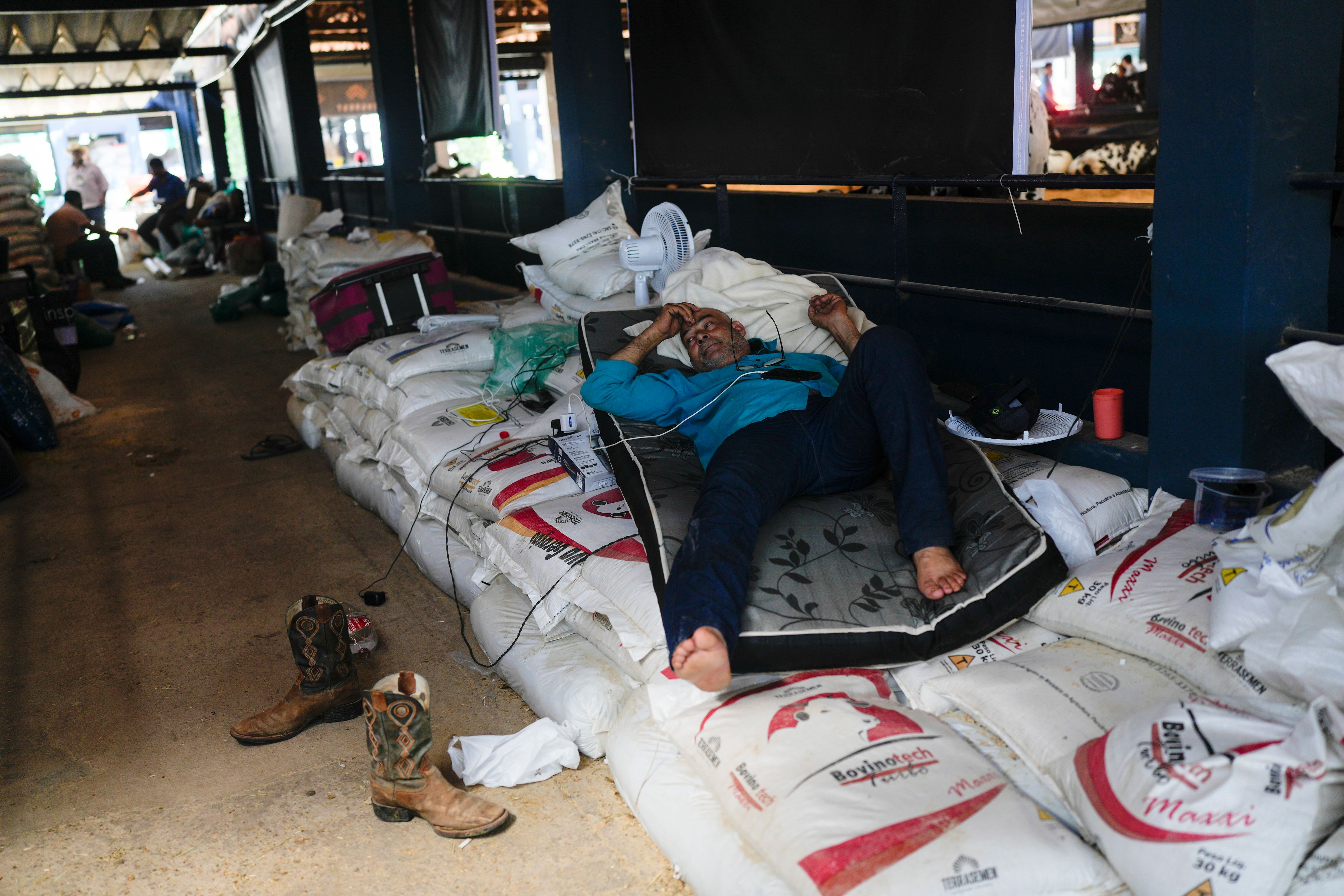 A stockman rests inside a stable during the ExpoZebu fair in Uberaba, Minas Gerais state, Saturday, April 27, 2024. Uberaba holds an annual gathering called ExpoZebu that bills itself as the world’s biggest Zebu fair.