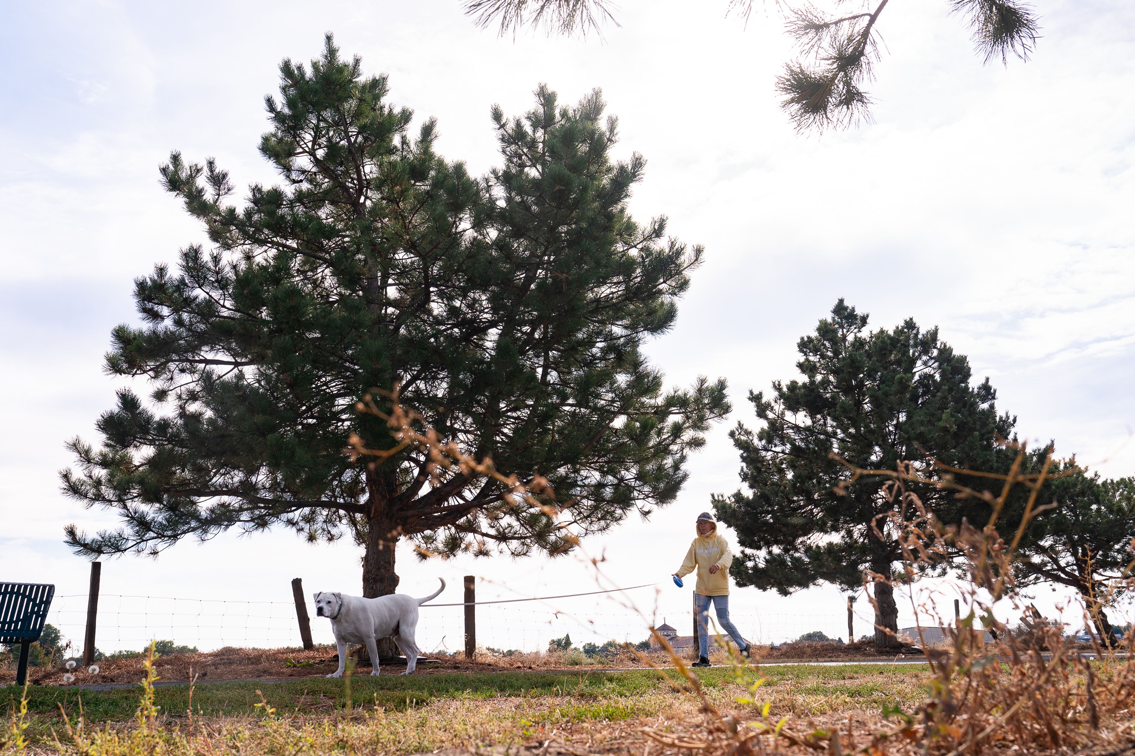 Grace Fitzpatrick, of Lewiston, walks her dog Buster at the Lewiston Community Park on Saturday.