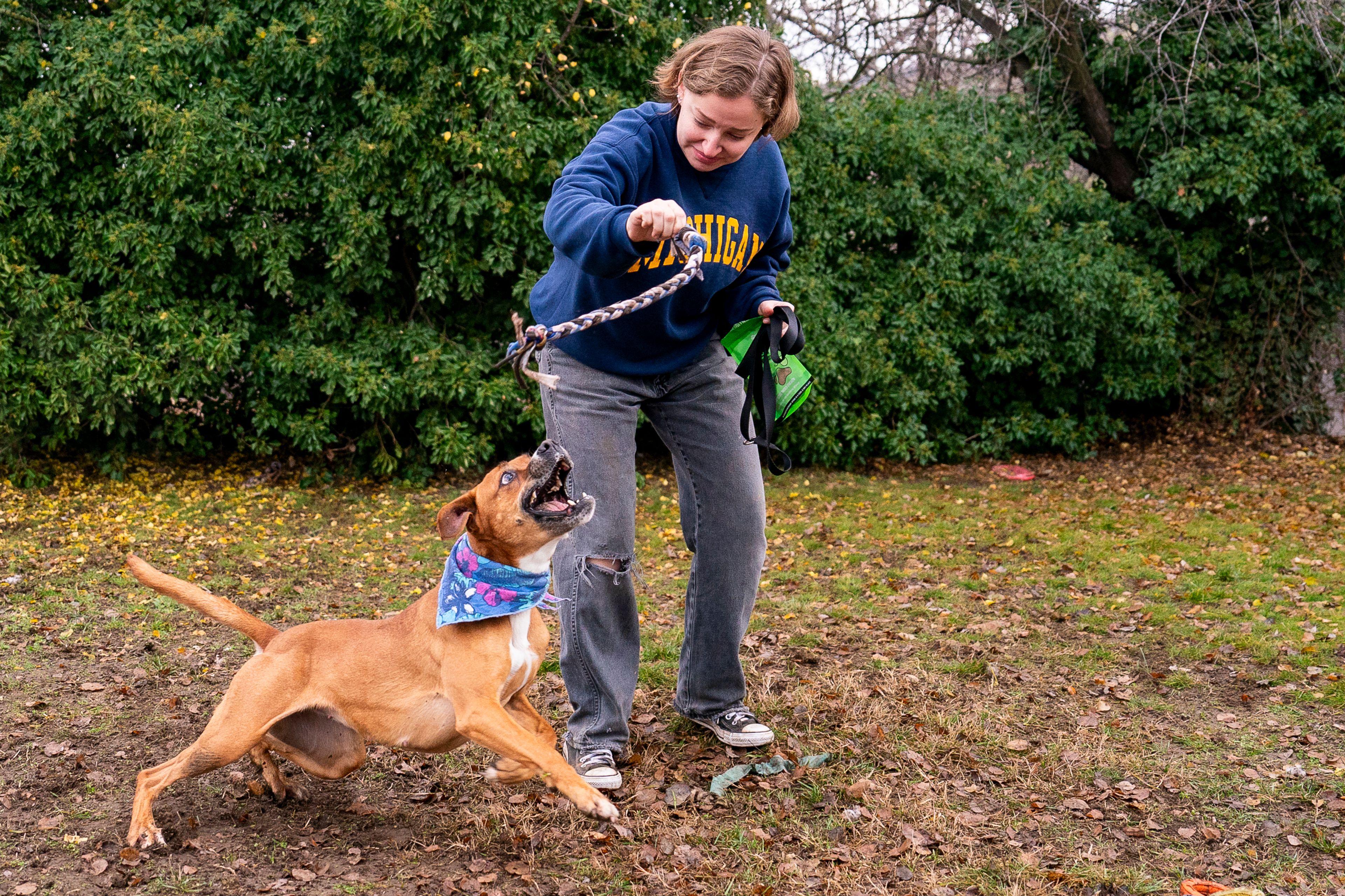 Blair Voltz plays with Little Girl the dog on Friday at Lewis Clark Animal Shelter in Lewiston.