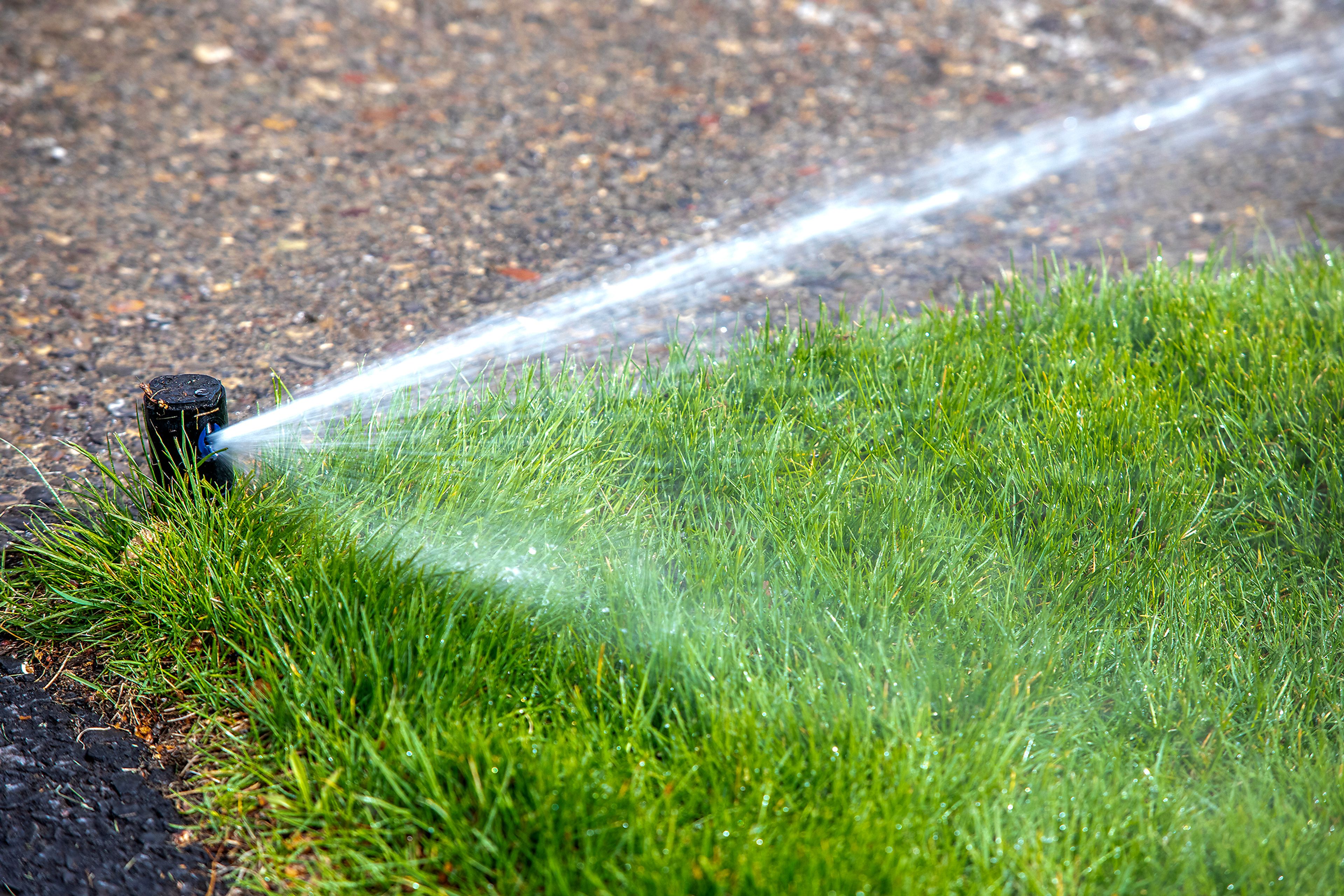 A sprinkler runs Thursday at Brian McKarcher’s home.