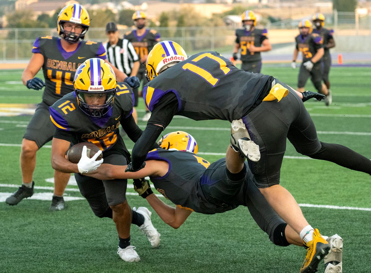 Bengals ready to roar in new season