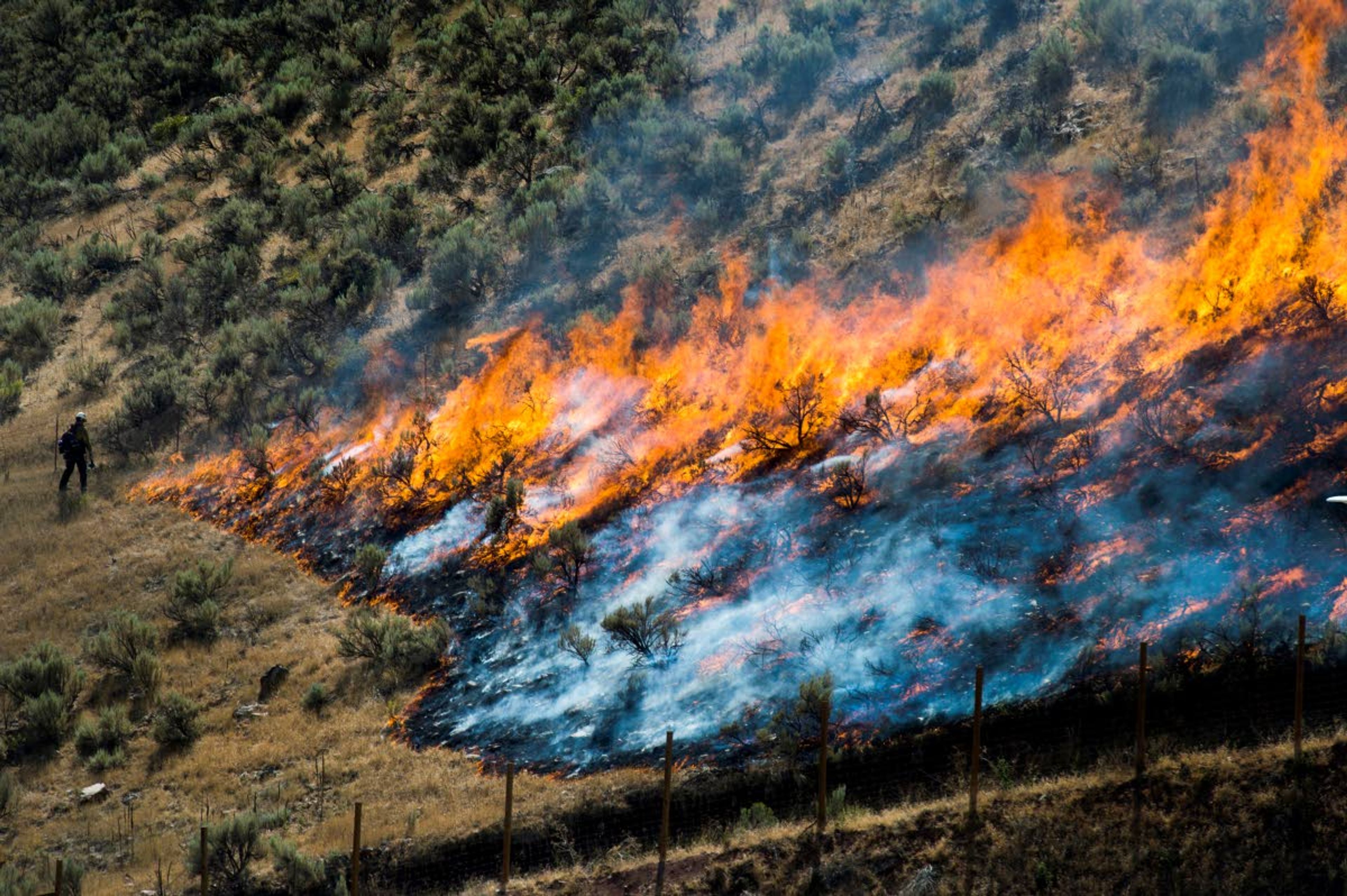 BLM wants to build fire breaks in West