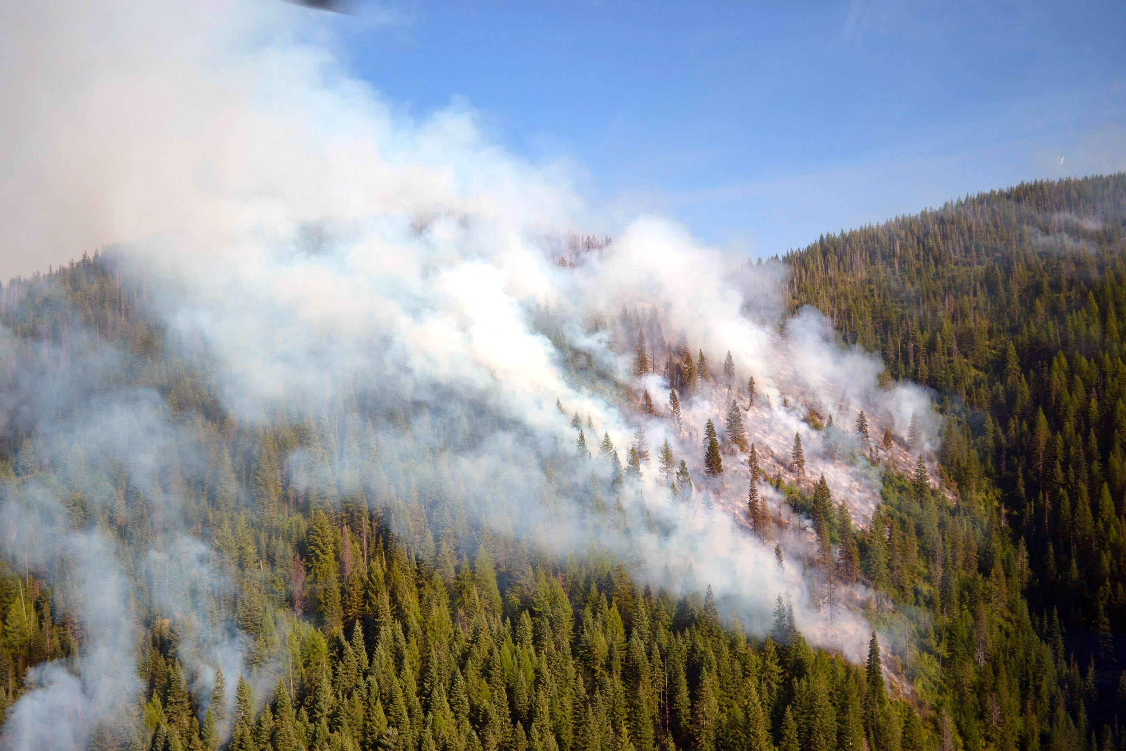 Smoke rises from the Barnard Junction prescribed fire above Kelly Creek on the Nez Perce-Clearwater National Forest. The burn and others on the forest are designed to improve elk habitat.