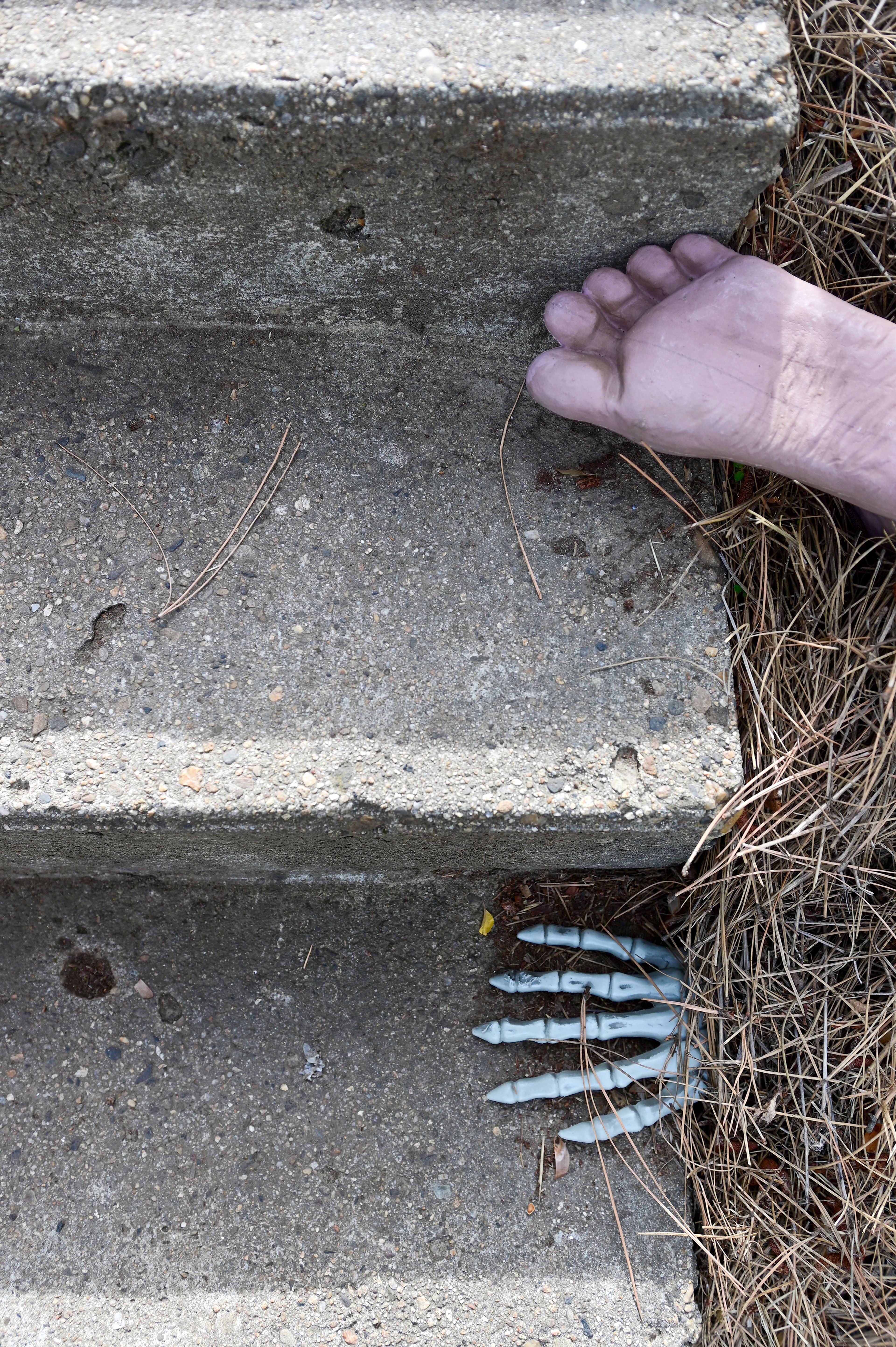 Limbs are spotted along the stairway to the Shady Lane Zombie Hunt Tuesday as part of this years Haunted Palouse event.