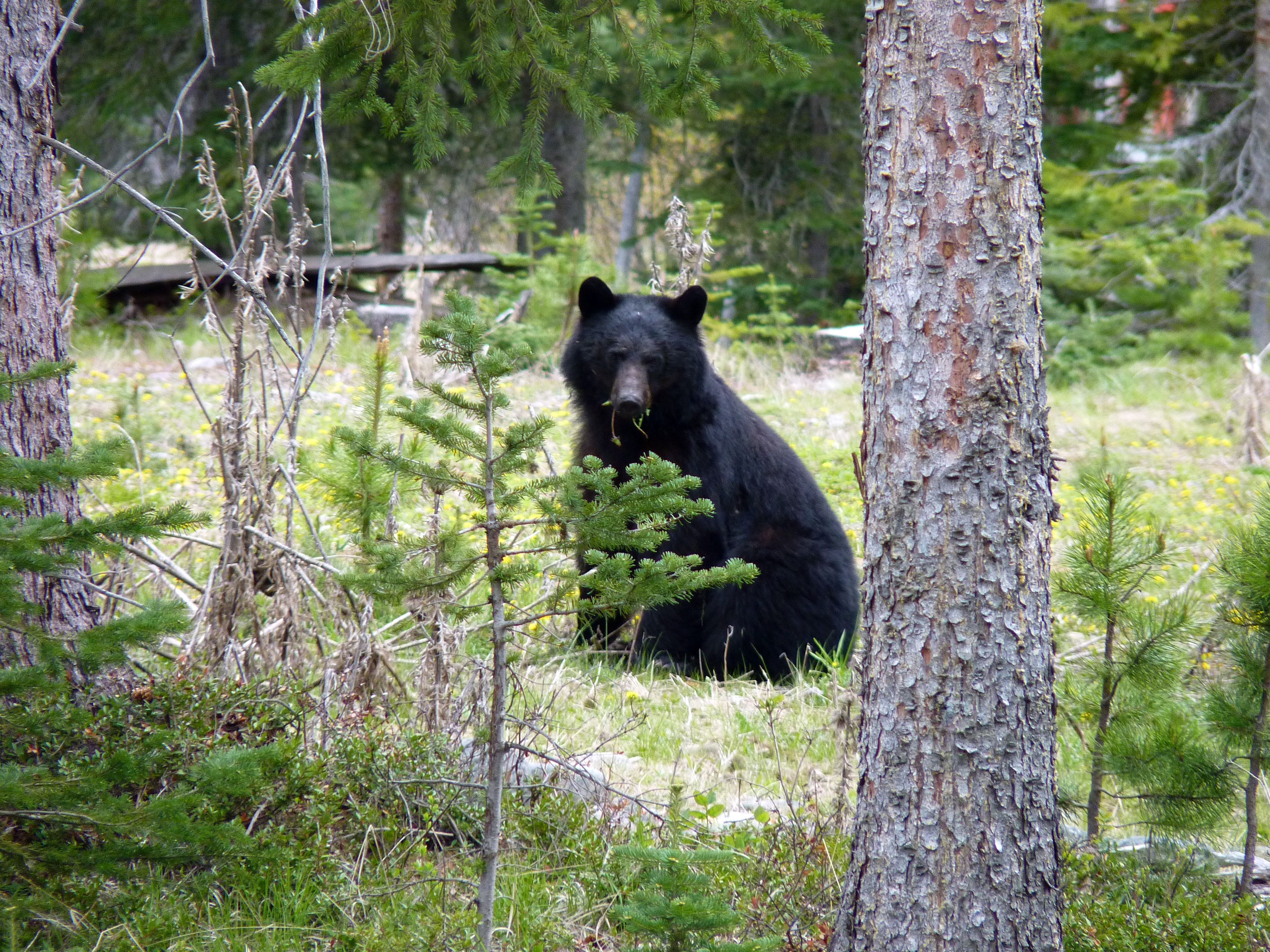Probe of WA Fish and Wildlife Commission extended