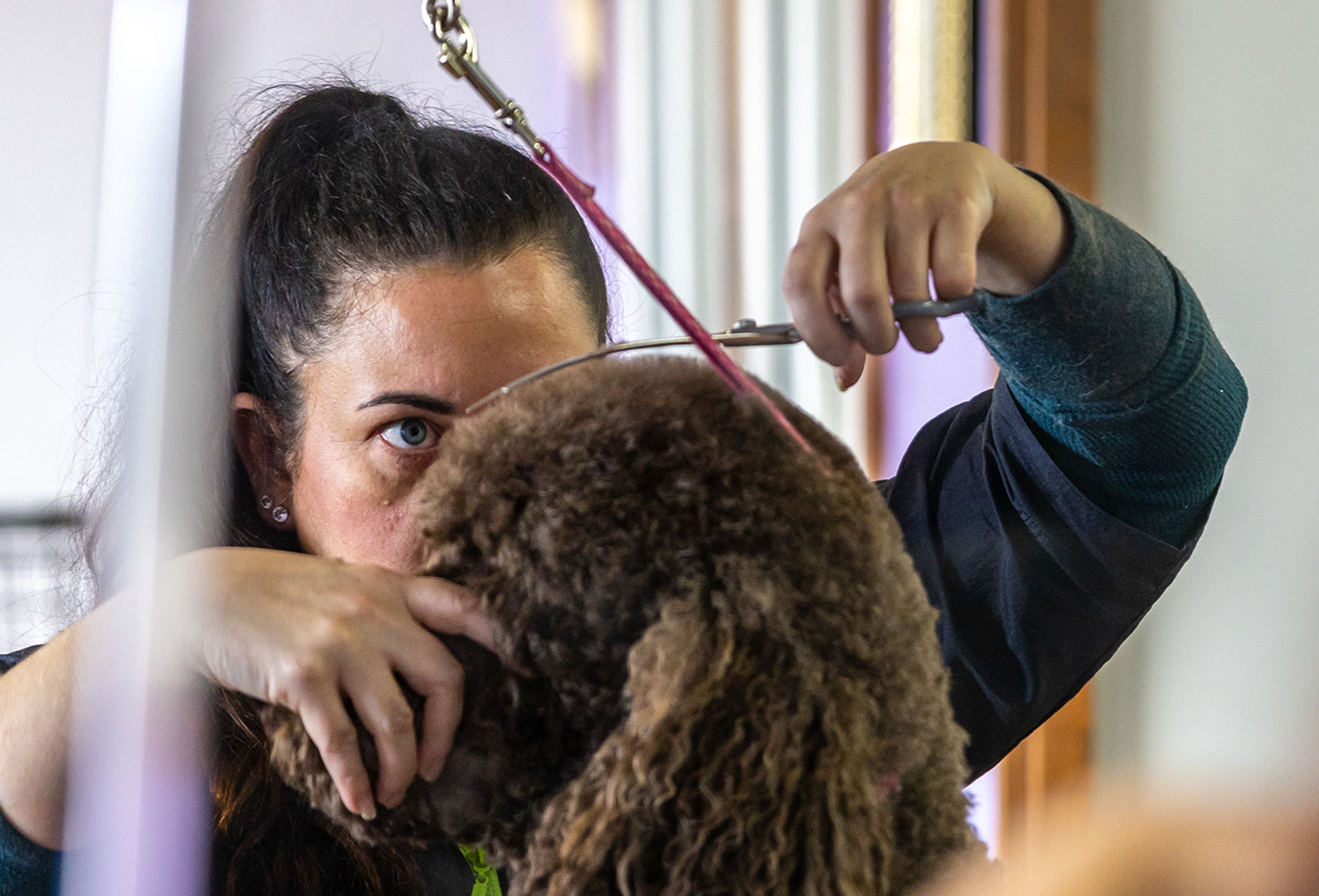 Photo Precision snips