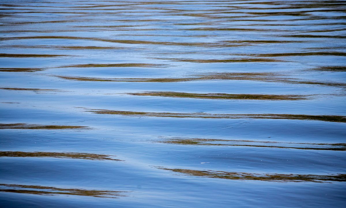 Ripples
