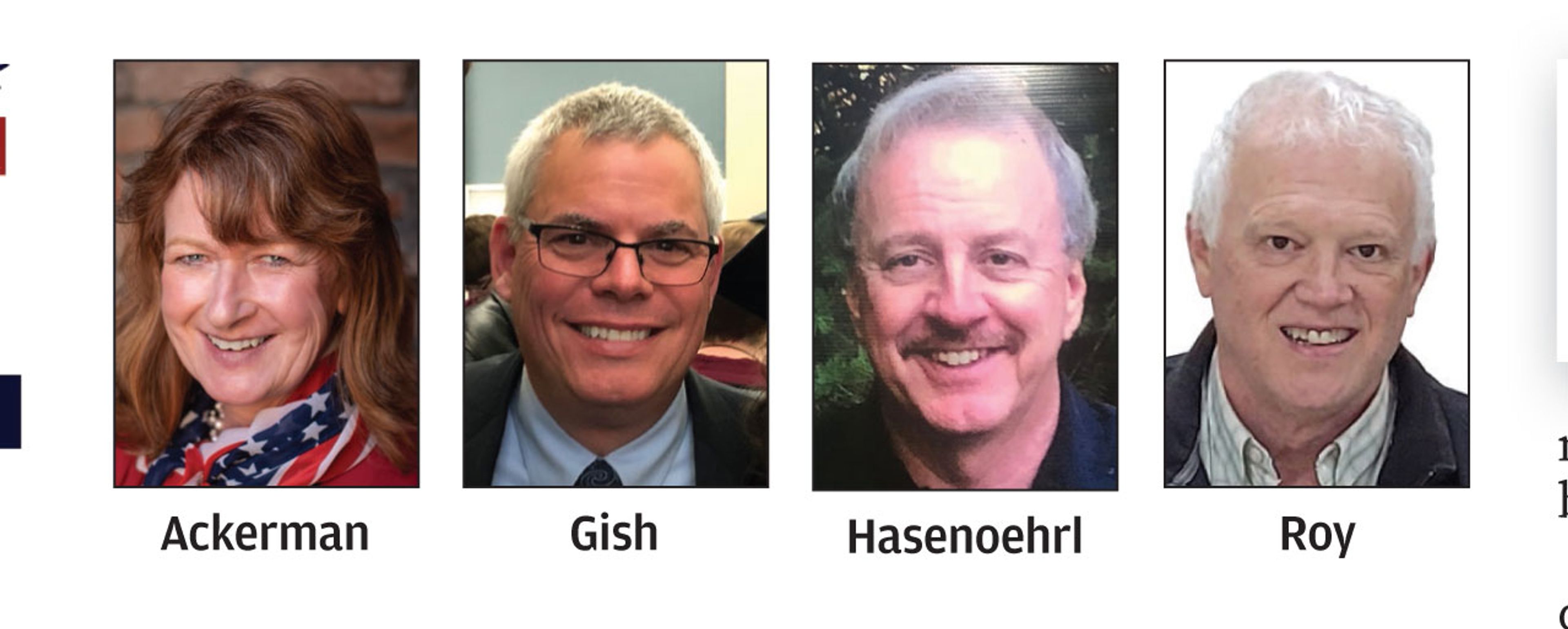 Four vie for Nez Perce District 3 seat