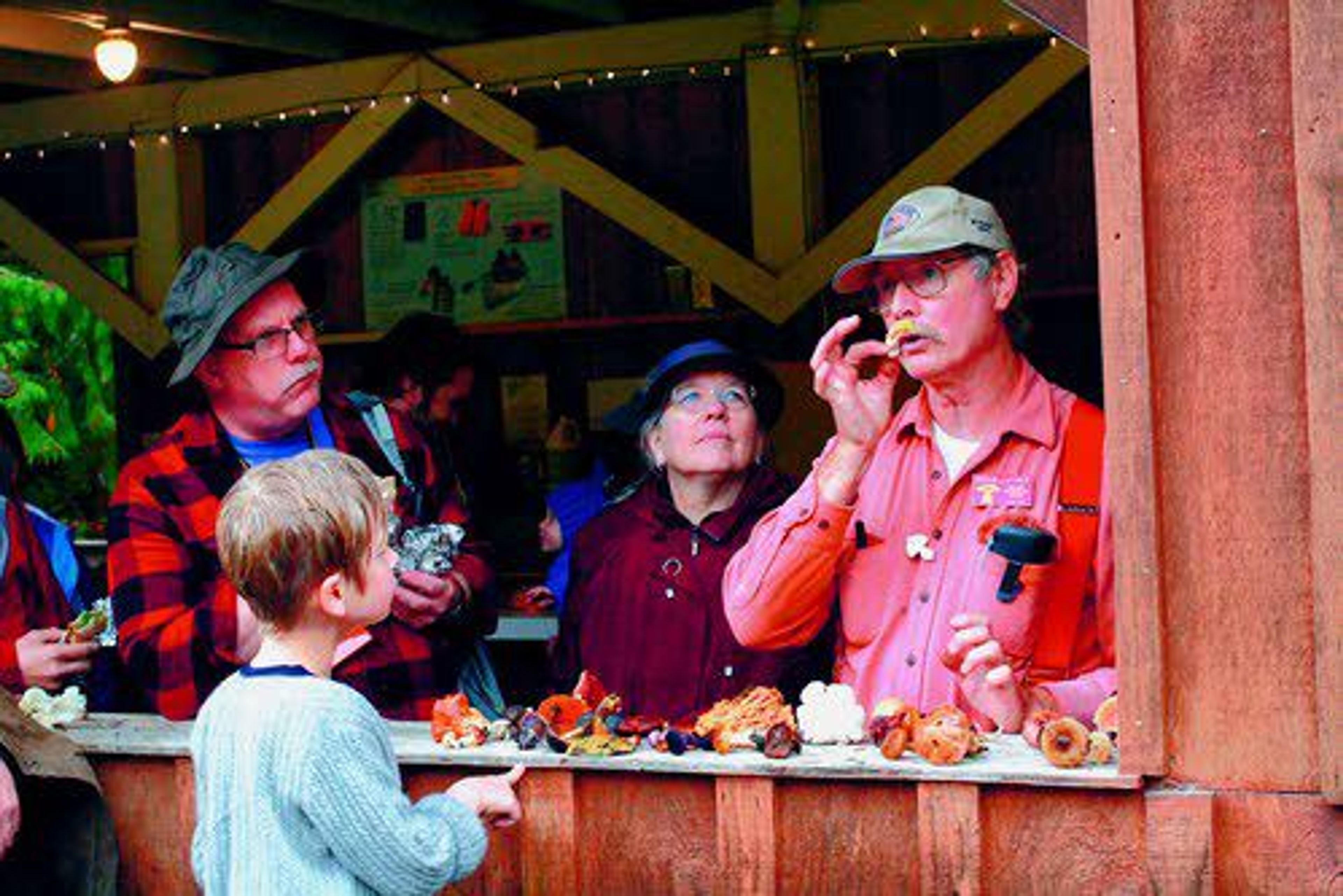 Brian Luther, Puget Sound Mycological Society identification chairman, takes a sniff of a mushroom near Skykomish, Wash.