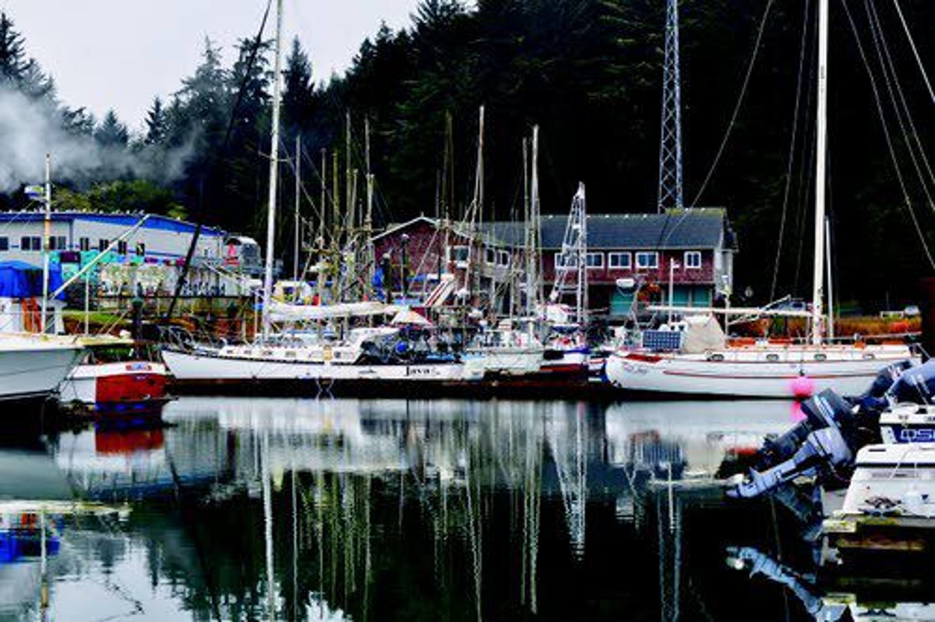 In this Friday photo, Charleston Marina is quieter than usual for this time of year after the Oregon Department of Fish and Wildlife closed bottom fishing in Charleston, Ore.