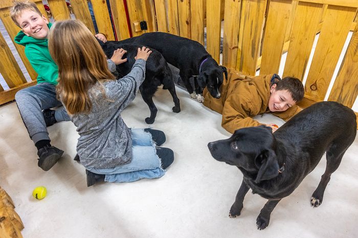 Helping Hands Rescue settling into new location