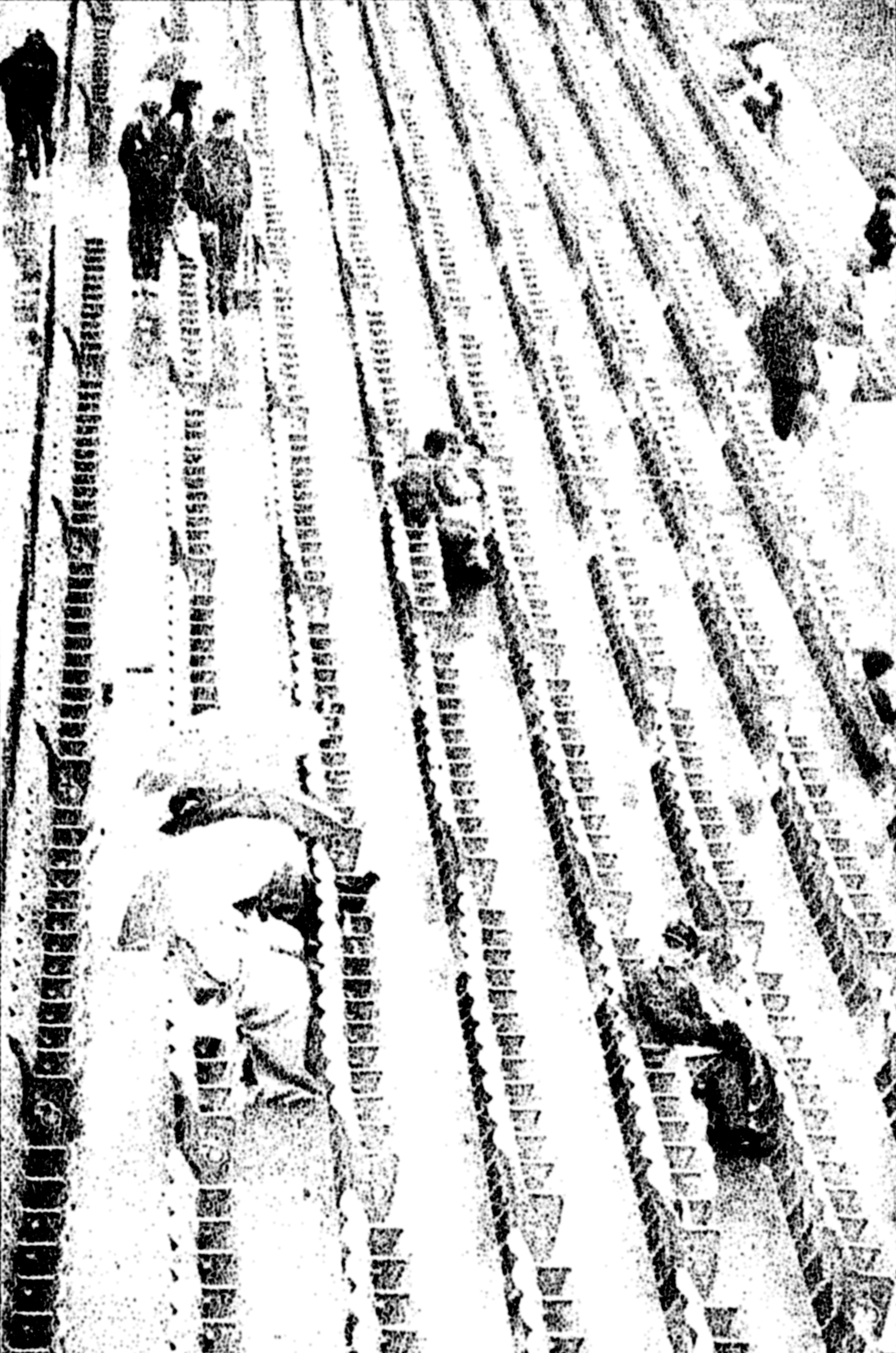 Several fans find plenty of seating room along the third-base line at Sec Taylor Stadium in Des Moines, Iowa, to watch one of the NAIA World Series games. (Tribune/Steve Hanks)