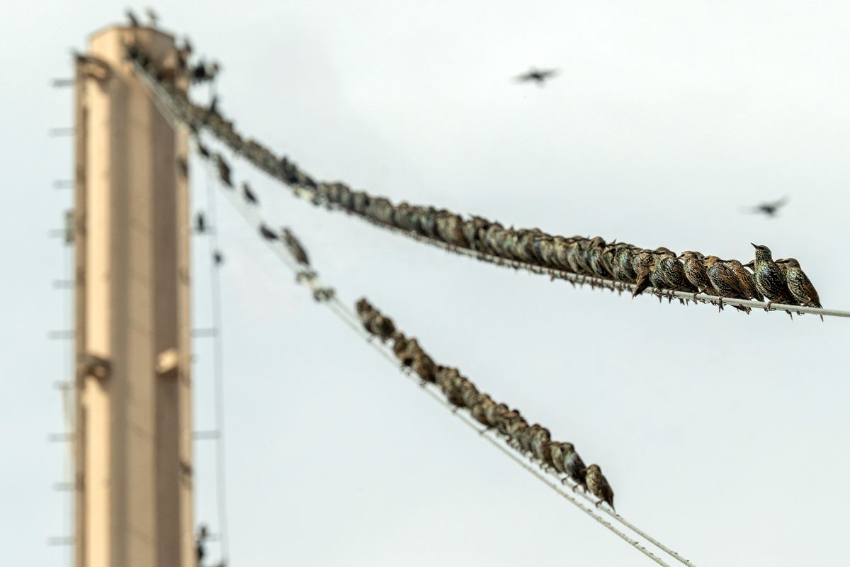 Week in Photos (Oct. 5-11)