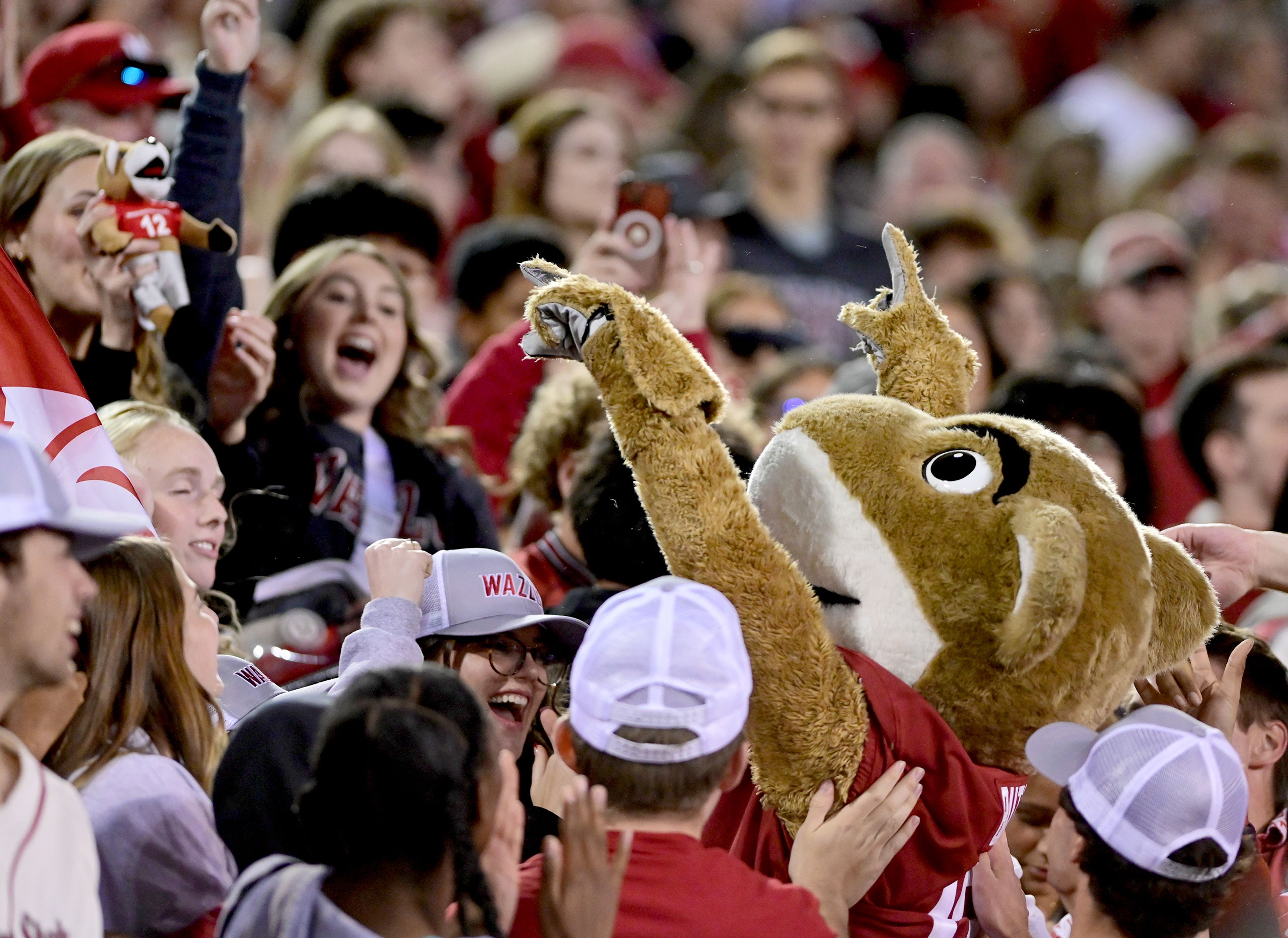 Butch T. Cougar pumps up the crowd during a game against San Jose State on Sept. 20 in Pullman.,