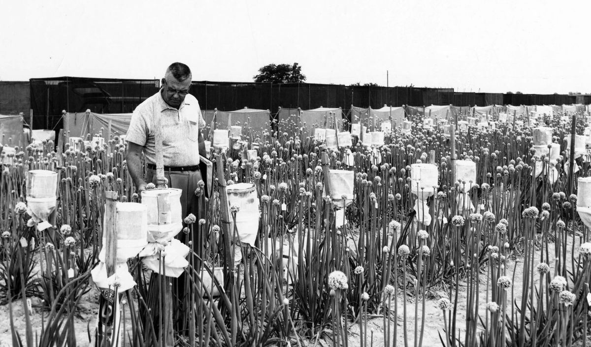 There’s still time to celebrate all November has to offer