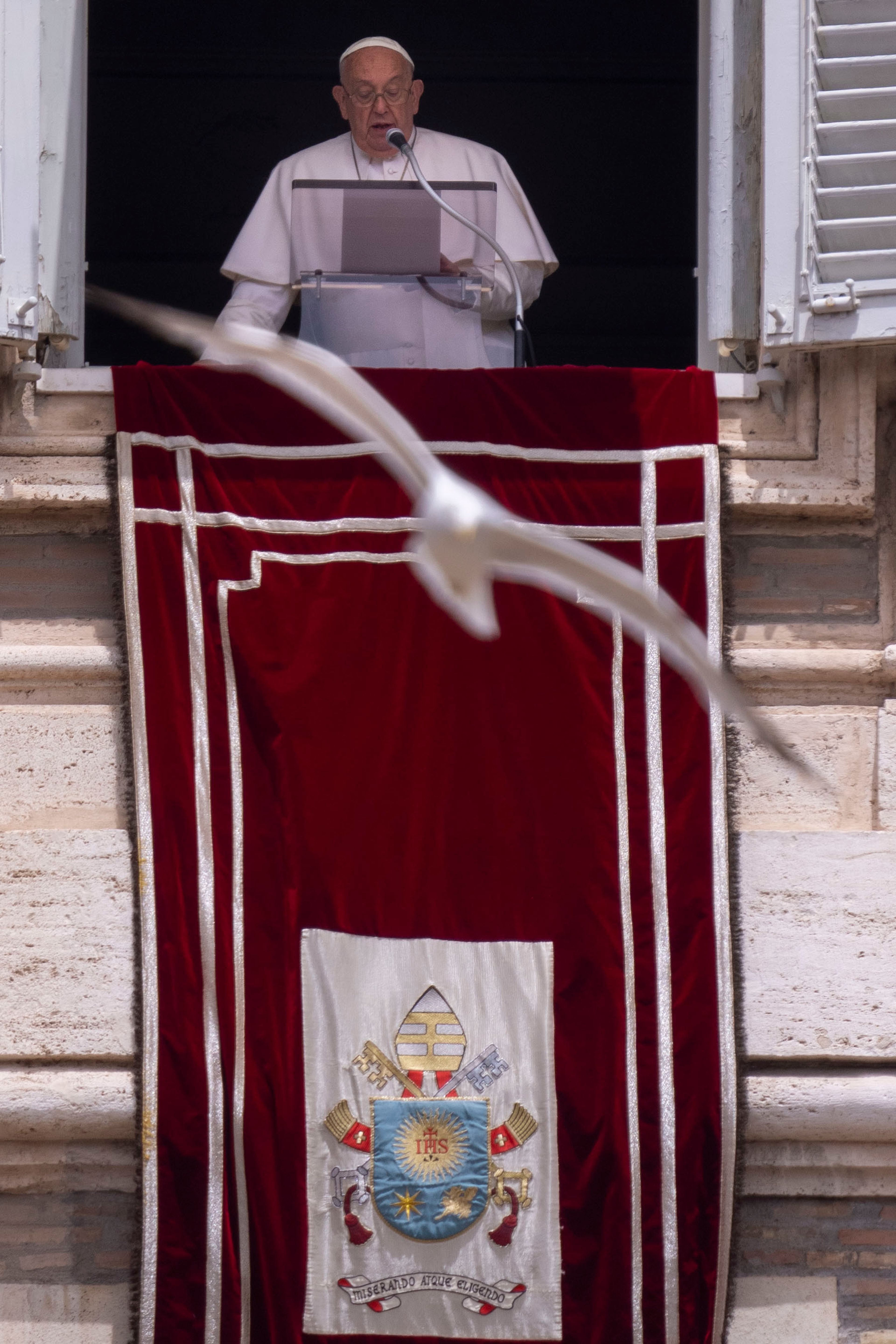 A seagull flies in front of Pope Francis during his appearance at his studiio's window overlooking St. Peter's Square at The Vatican, Sunday, June 9, 2024, where faithful and pilgrims gathered for the traditional Sunday's blessing at the end of the Angelus prayer.