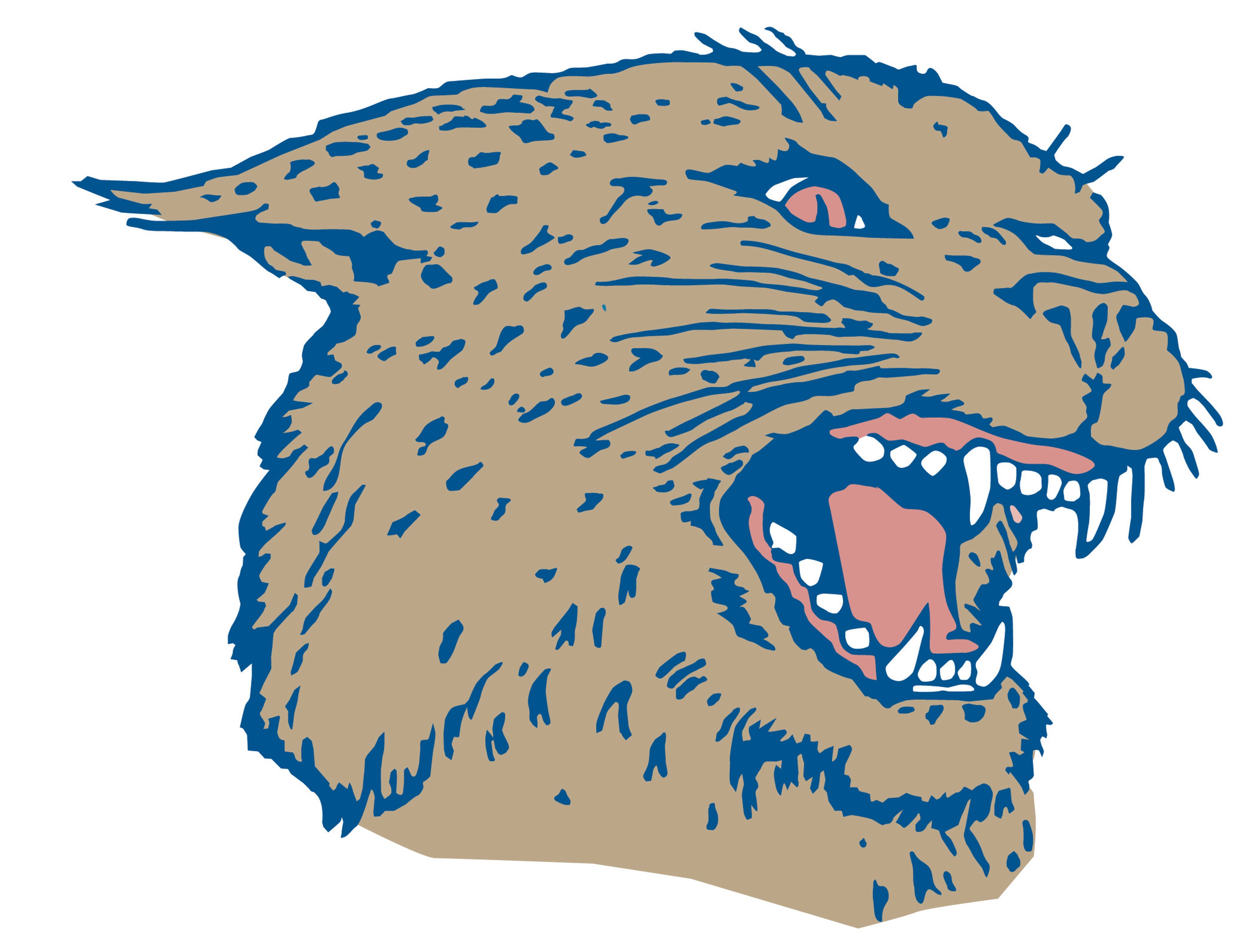 PREP ROUNDUP: Back-to-back no-hitters for Colton Wildcats softball
