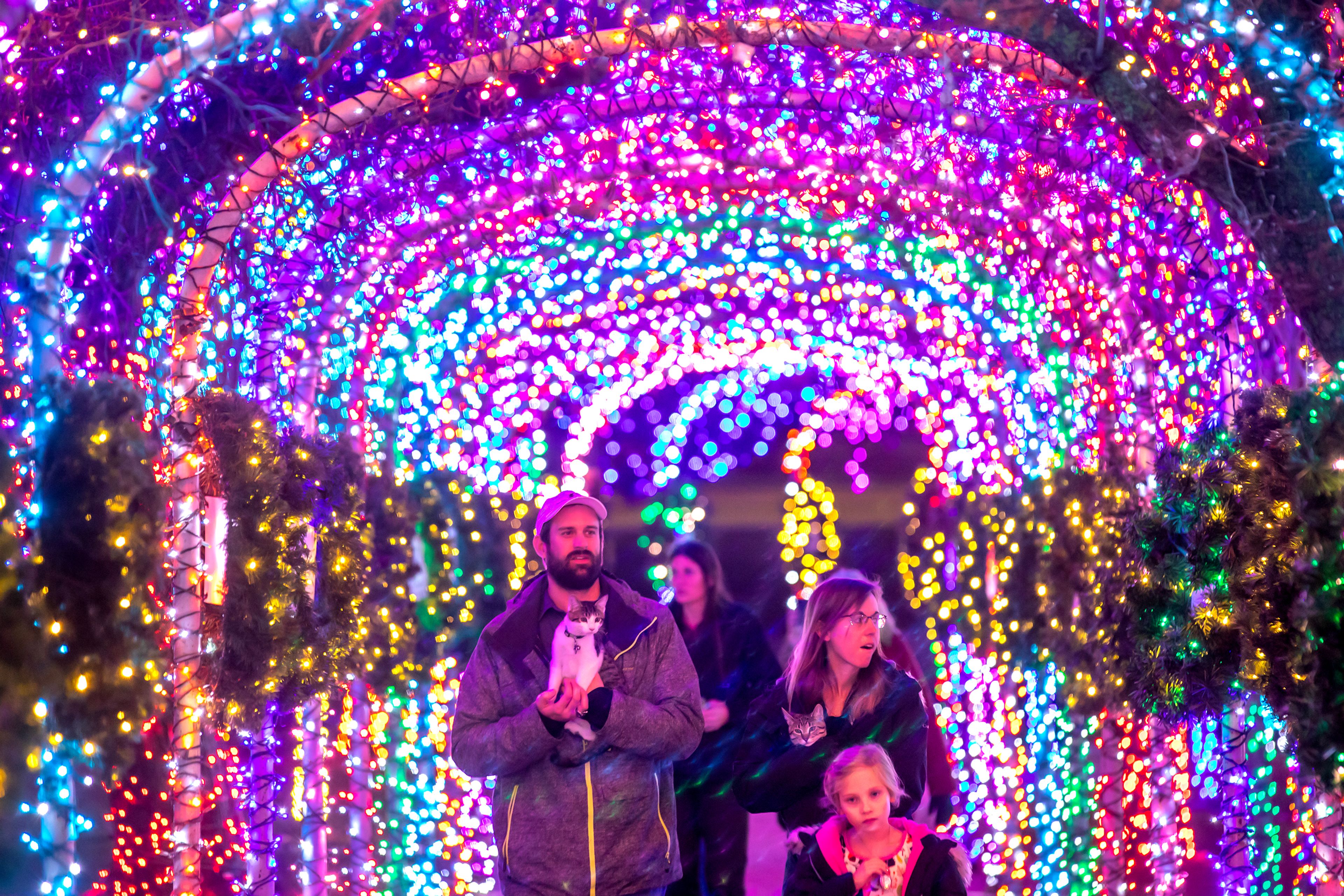 Jared Hopkins carries JJ as Michelle Hopkins carries gravey through the tunnel of lights at the Winter Spirit holiday light display Monday at Locomotive Park in Lewiston. About six people came to the light display with their cats on the day.