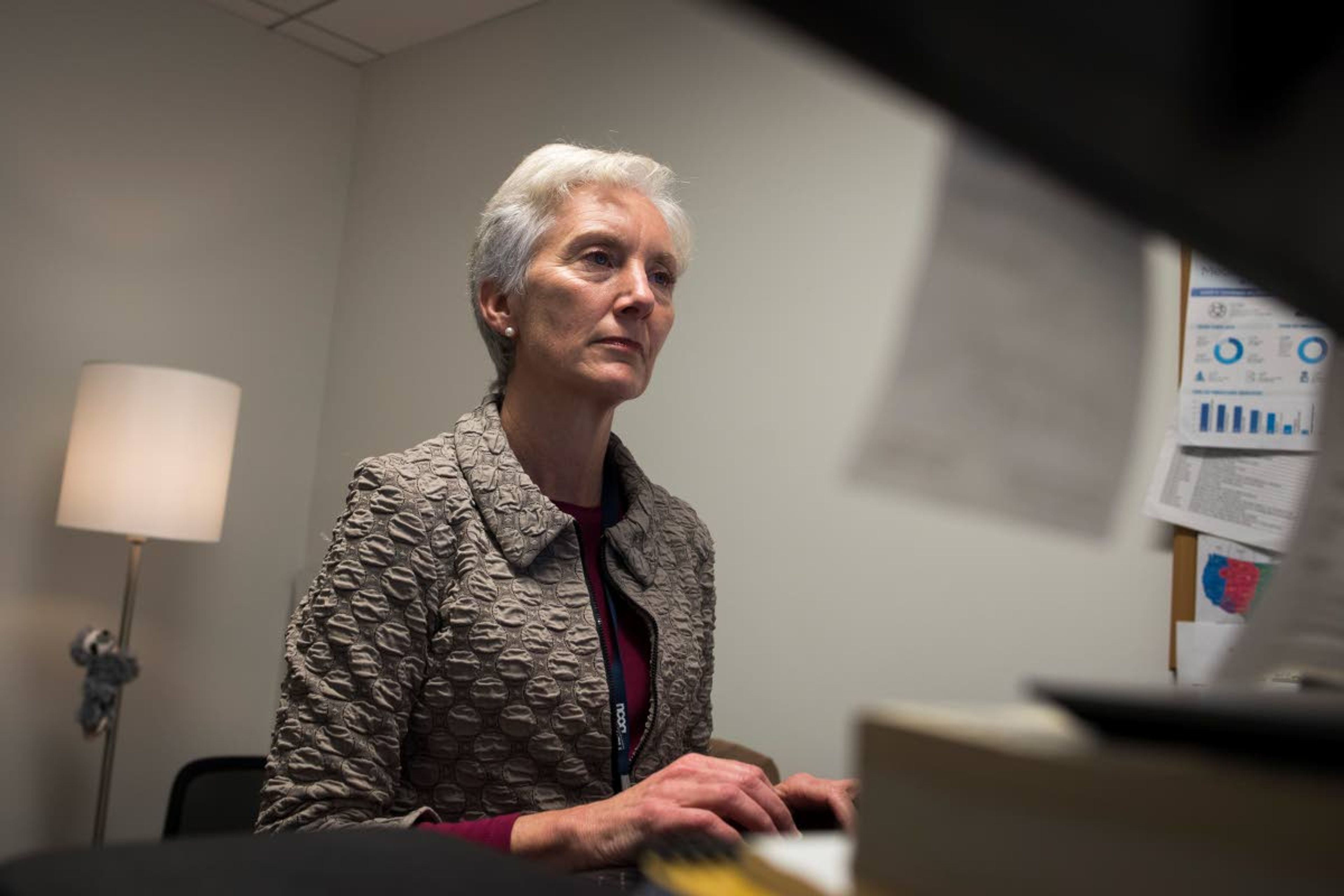 Ann Kayrish, Medicare expert for the National Council on Aging, works in her office Thursday on the White House’s new and highly touted online tool for seniors to find Medicare prescription drug plans.