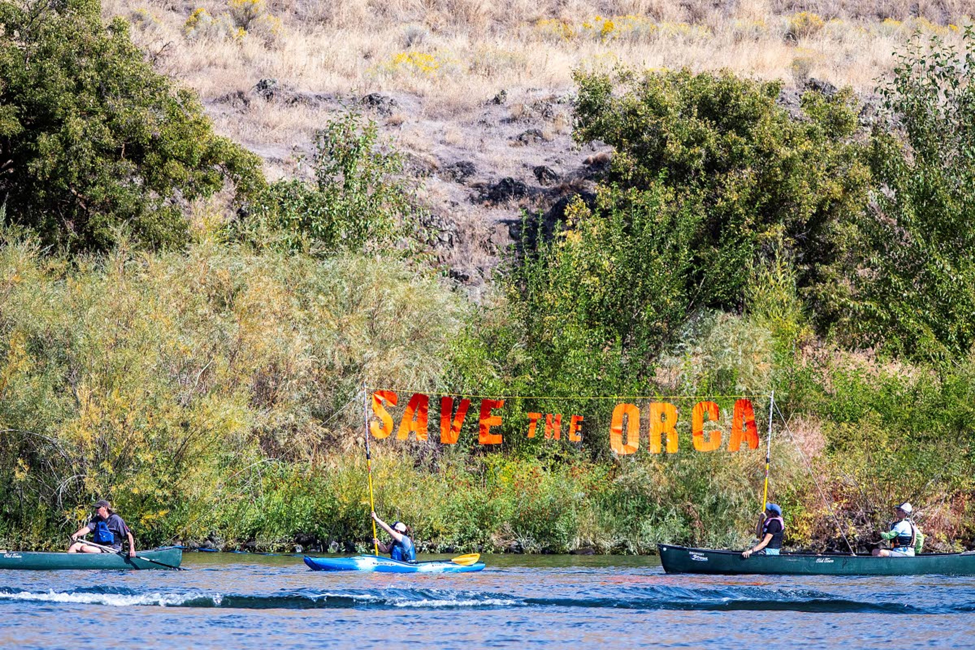 Paddlers hold a sign reading "Save the Orca" while paddle down the Snake River during the Nimiipuu River Rendezvous on Saturday morning near Asotin.