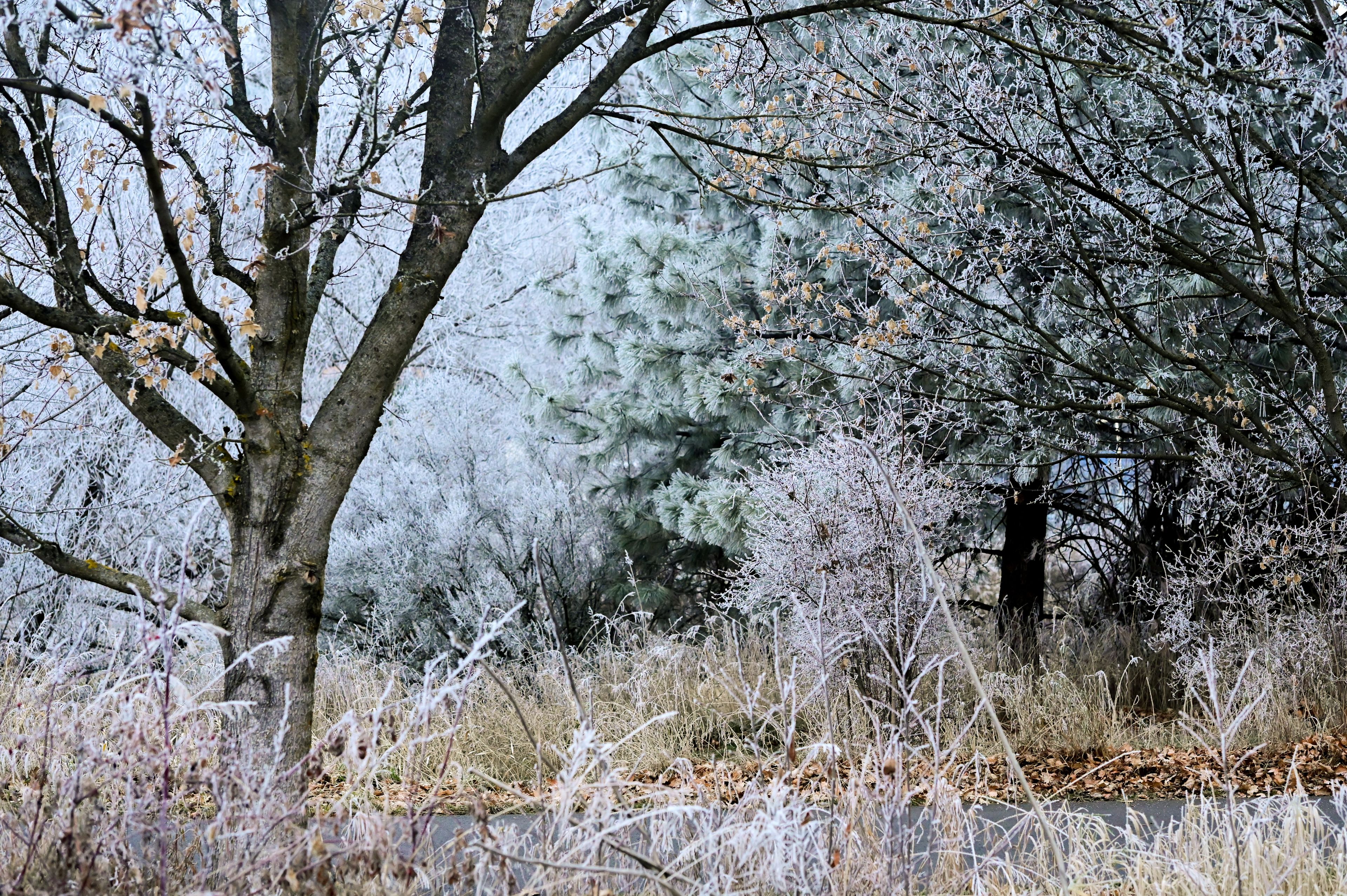 Fall weather will arrive in force starting Wednesday