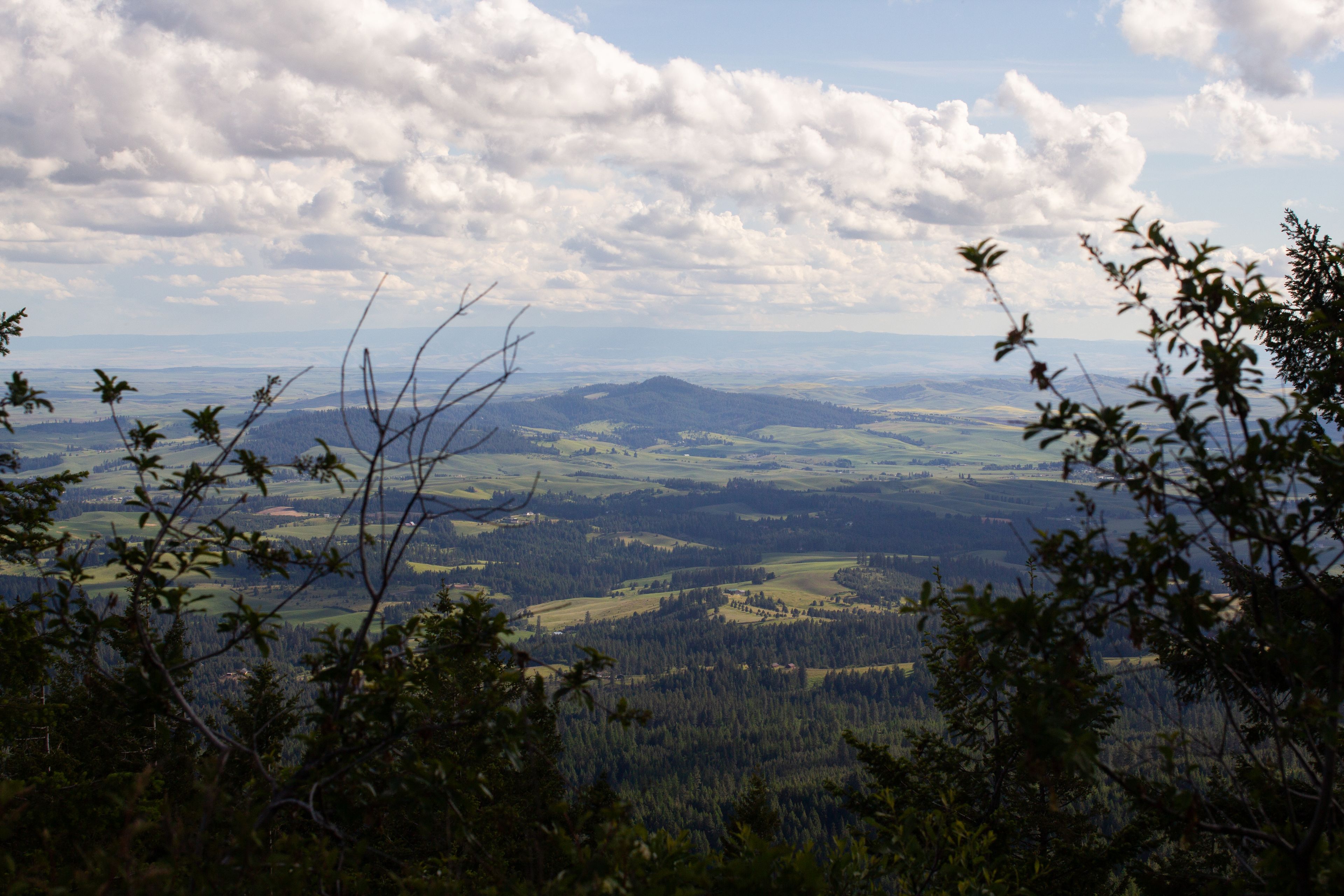 East Moscow Mountain