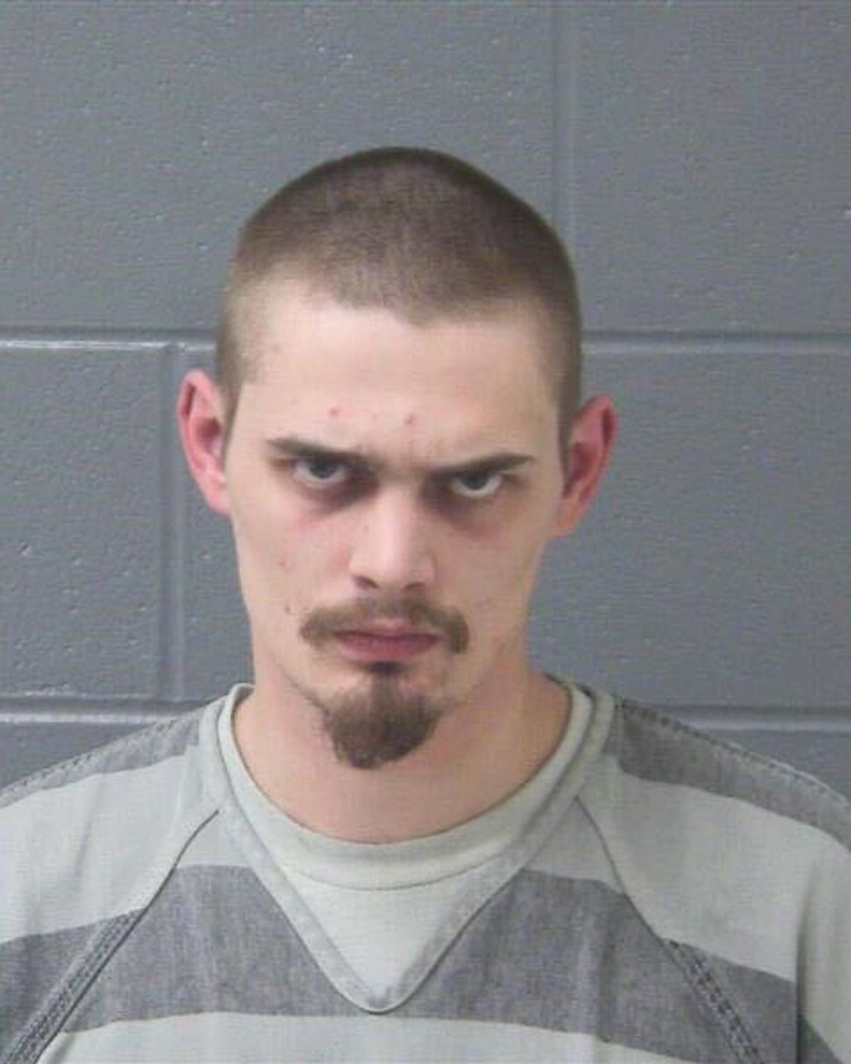 Culdesac man pleads guilty to two rape charges