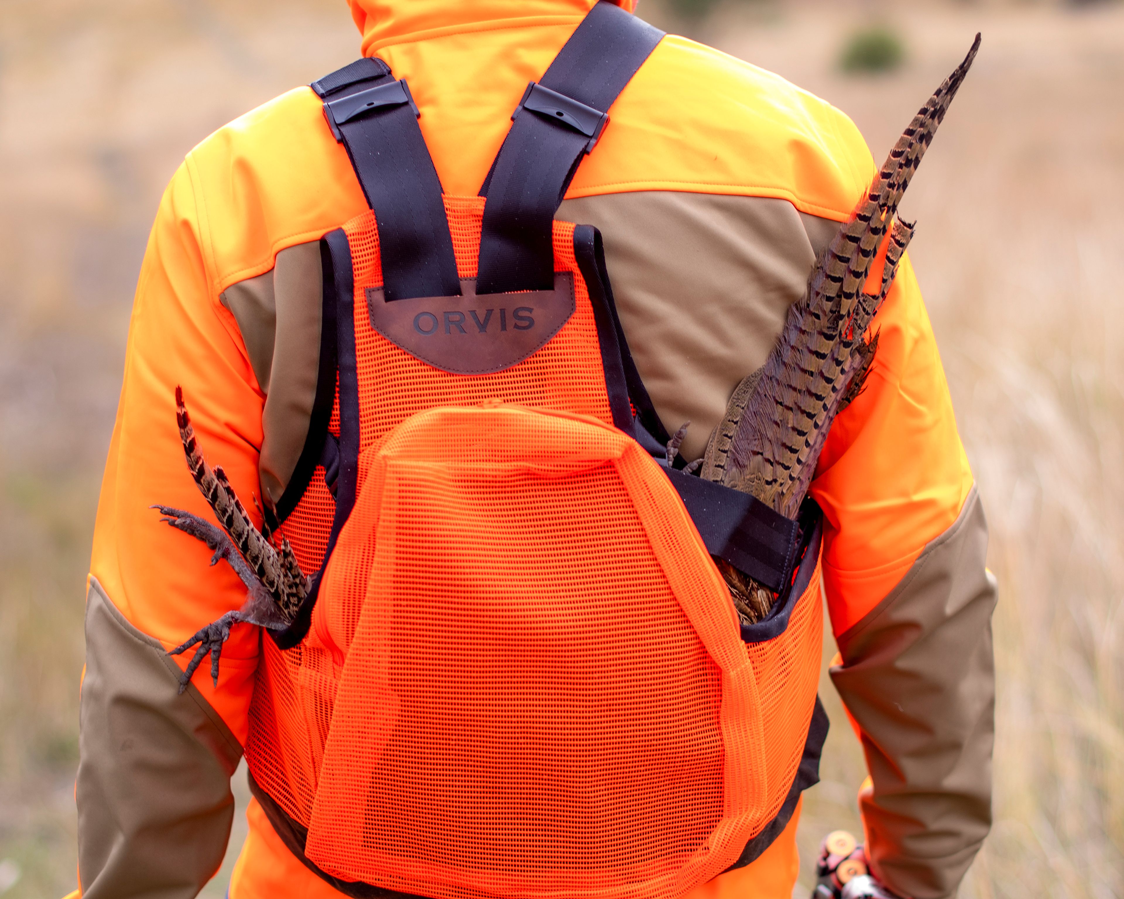 Dead pheasants stick out of the backpack of a hunter near Peck last October.,