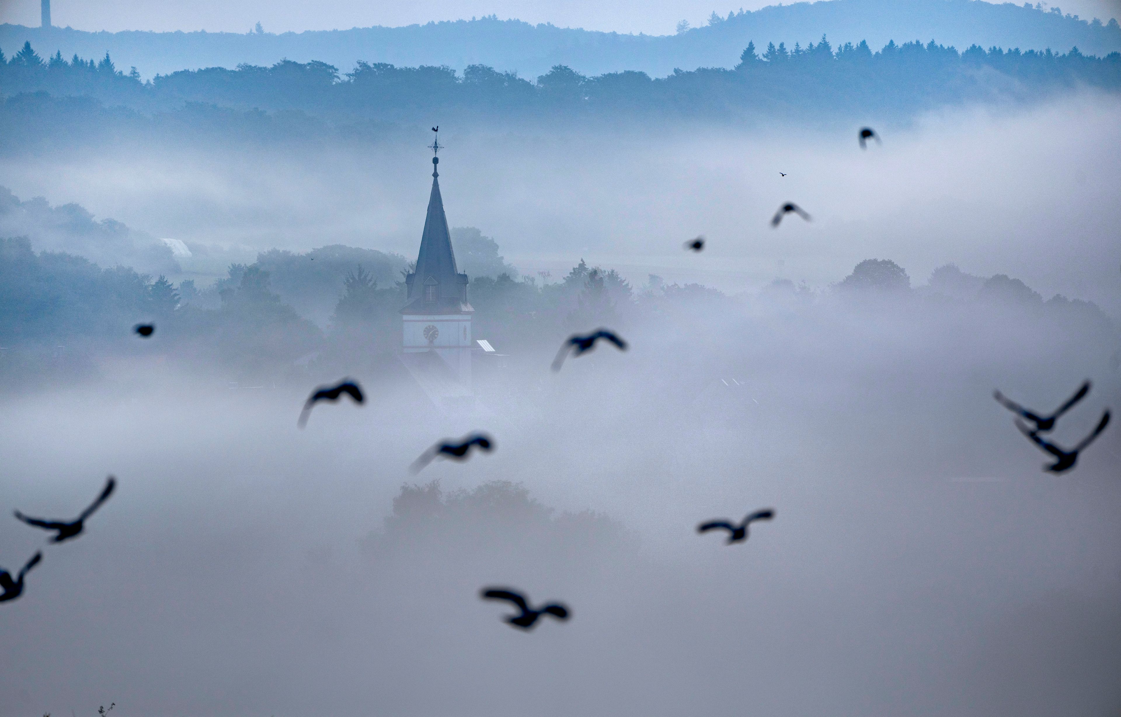 Birds fly near a church in Wehrheim near Frankfurt, Germany, on a foggy Tuesday, Sept. 3, 2024. (AP Photo/Michael Probst)