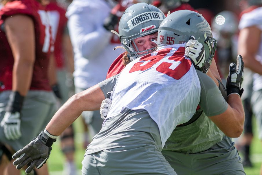 WSU’s hardhitting Hicks snags freshman honor