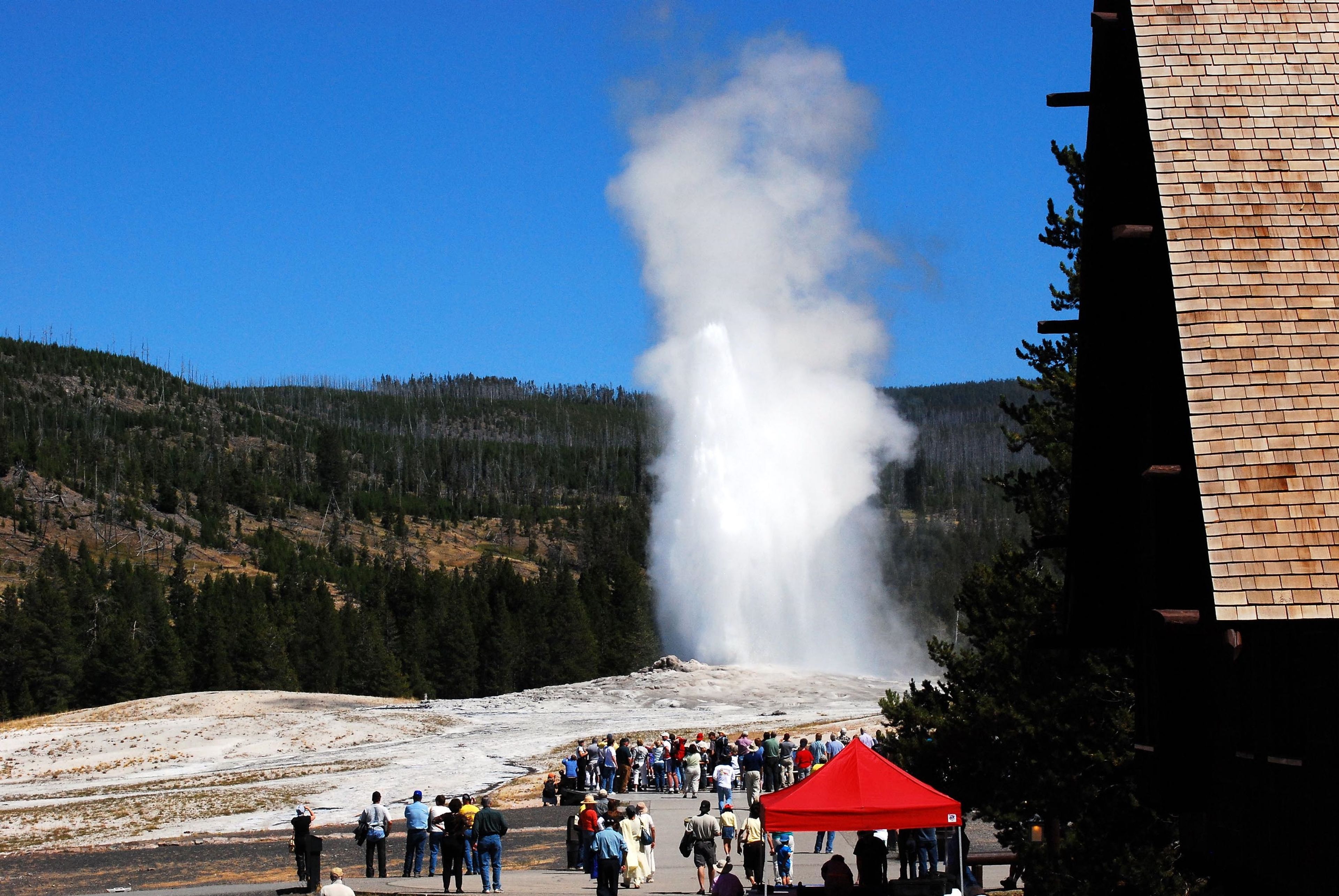 Yellowstone visitor gets too close, lands jail time
