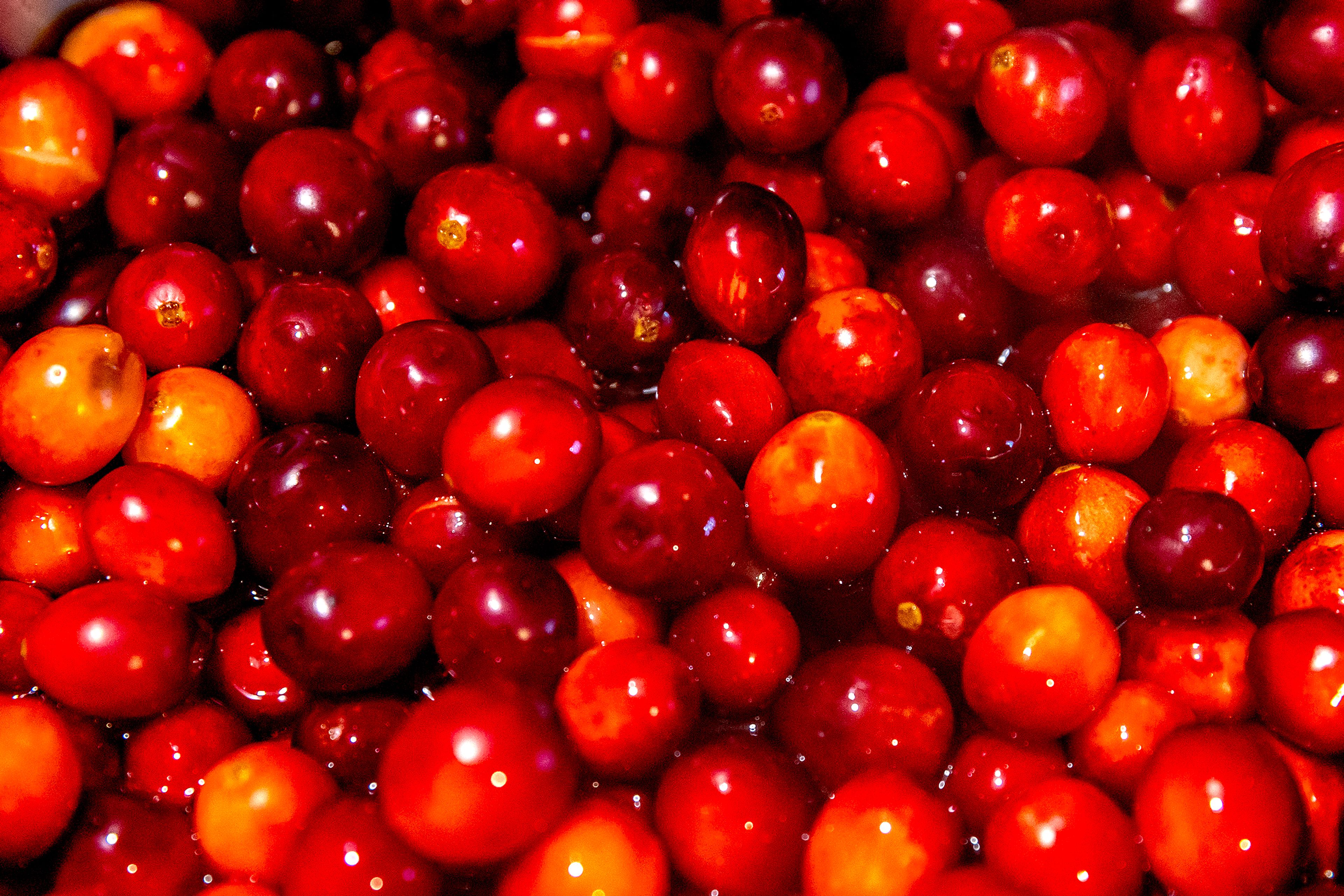 Cranberries are pictured Sunday in Lewiston.