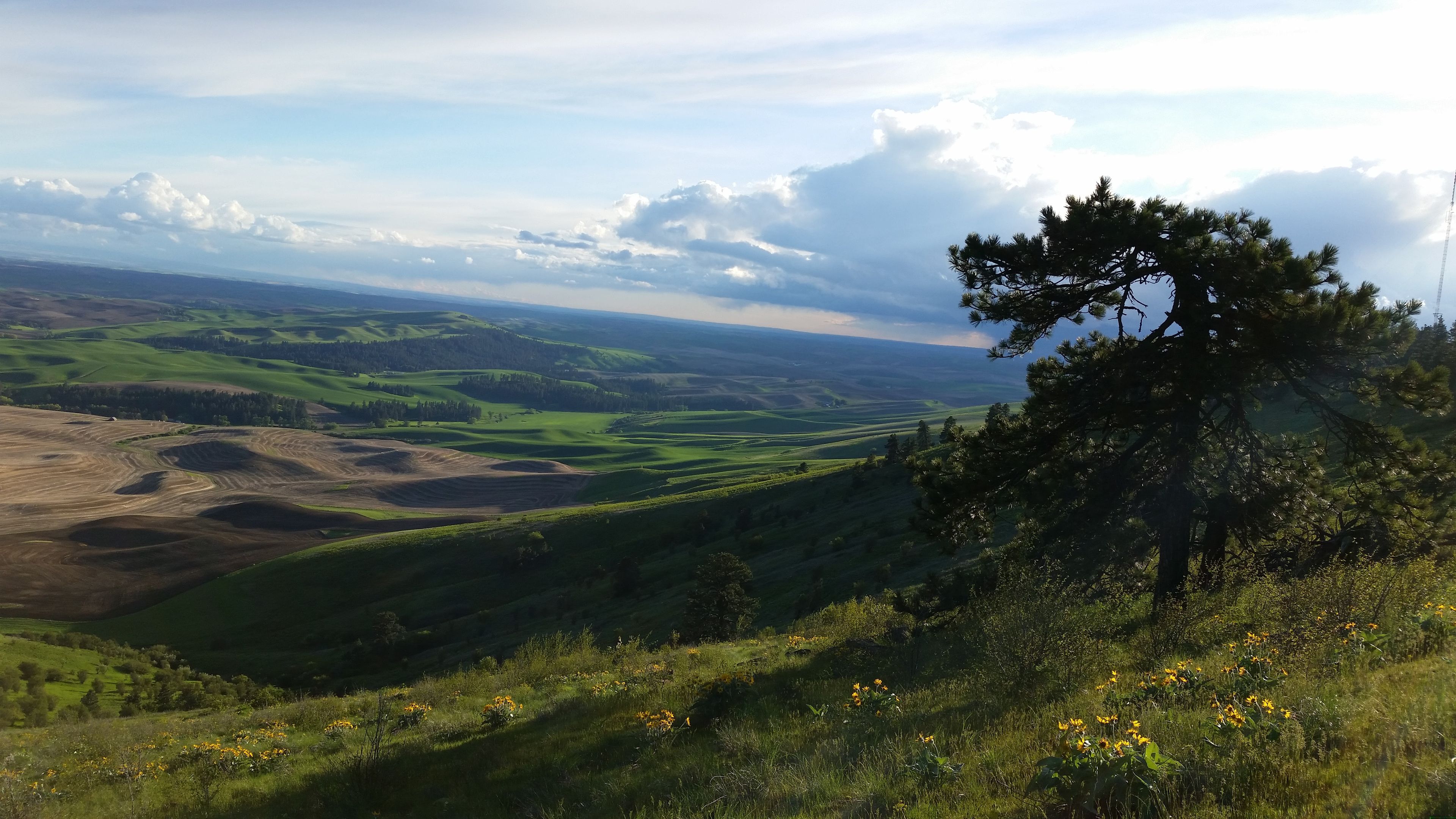 Kamiak Butte State Park