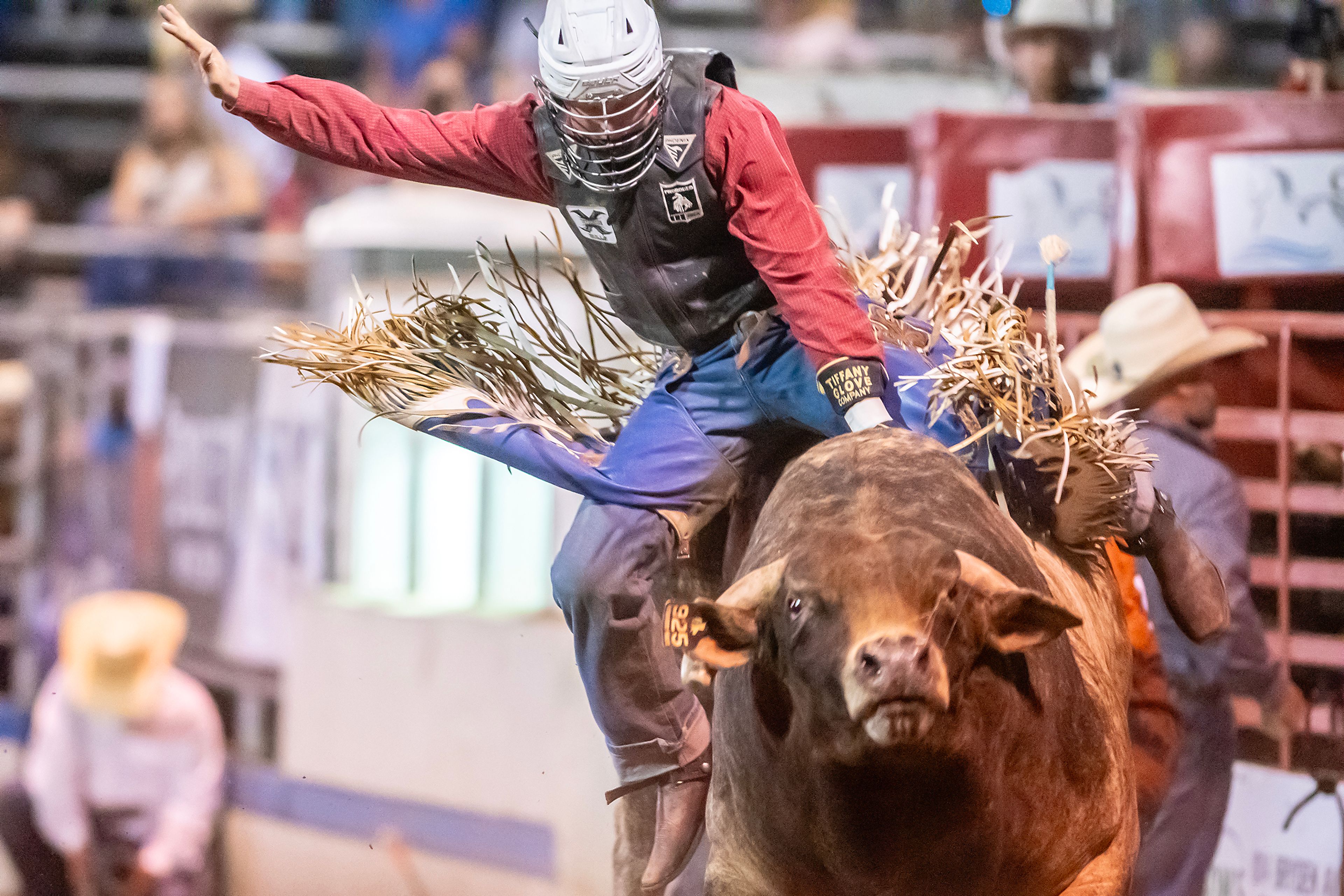 Mason Moony rides Reinstate Hank in the bull riding competition on day 2 of the Lewiston Roundup.