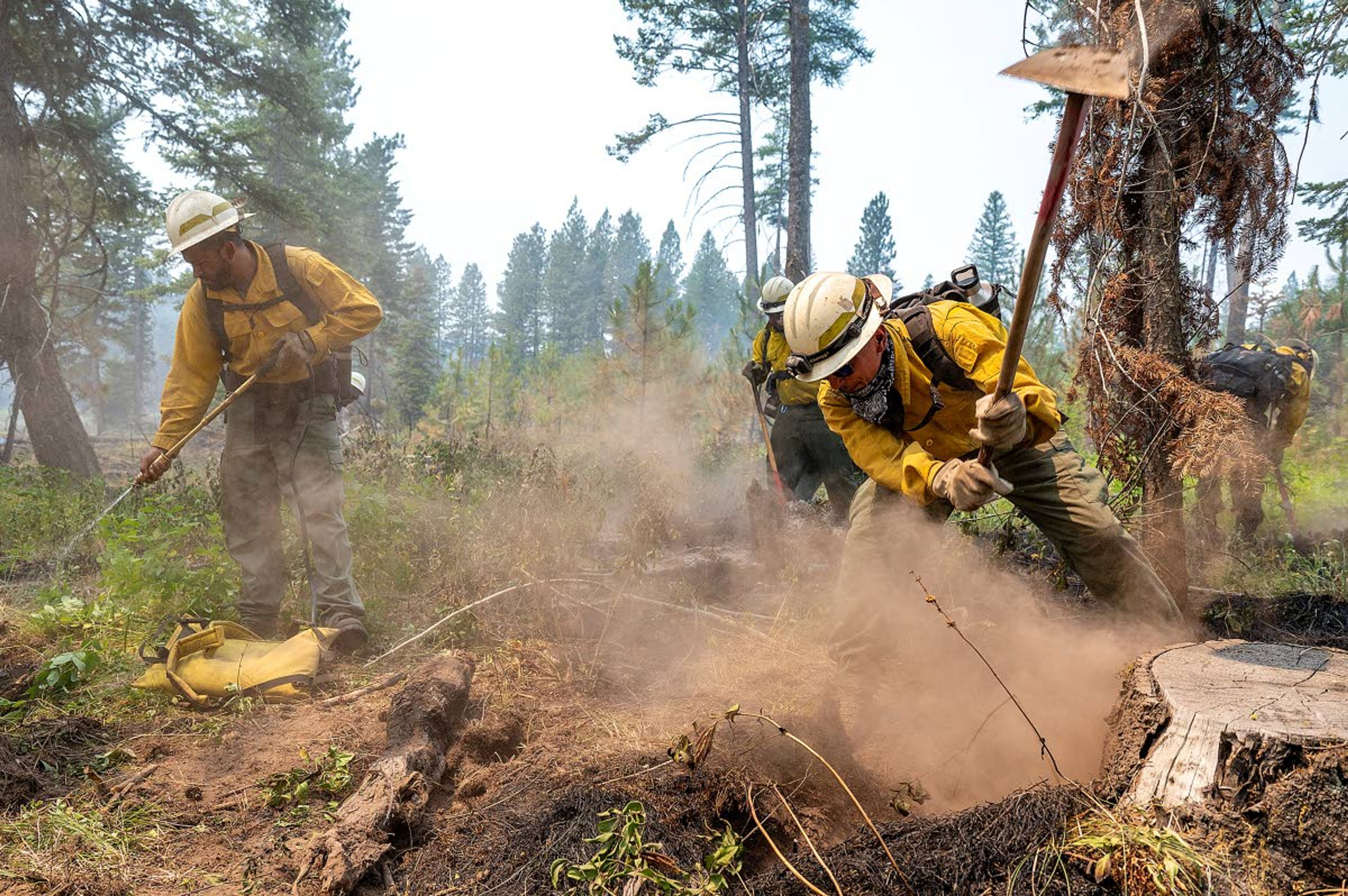 Members of a crew of wildland firefighters from PR Reforestation, out of Vancouver, Wash., dig away at hot spots underneath stumps and brush Thursday afternoon as they mop up after flames from the Snake River Complex fire swept through the area earlier in the week south of Lewiston.