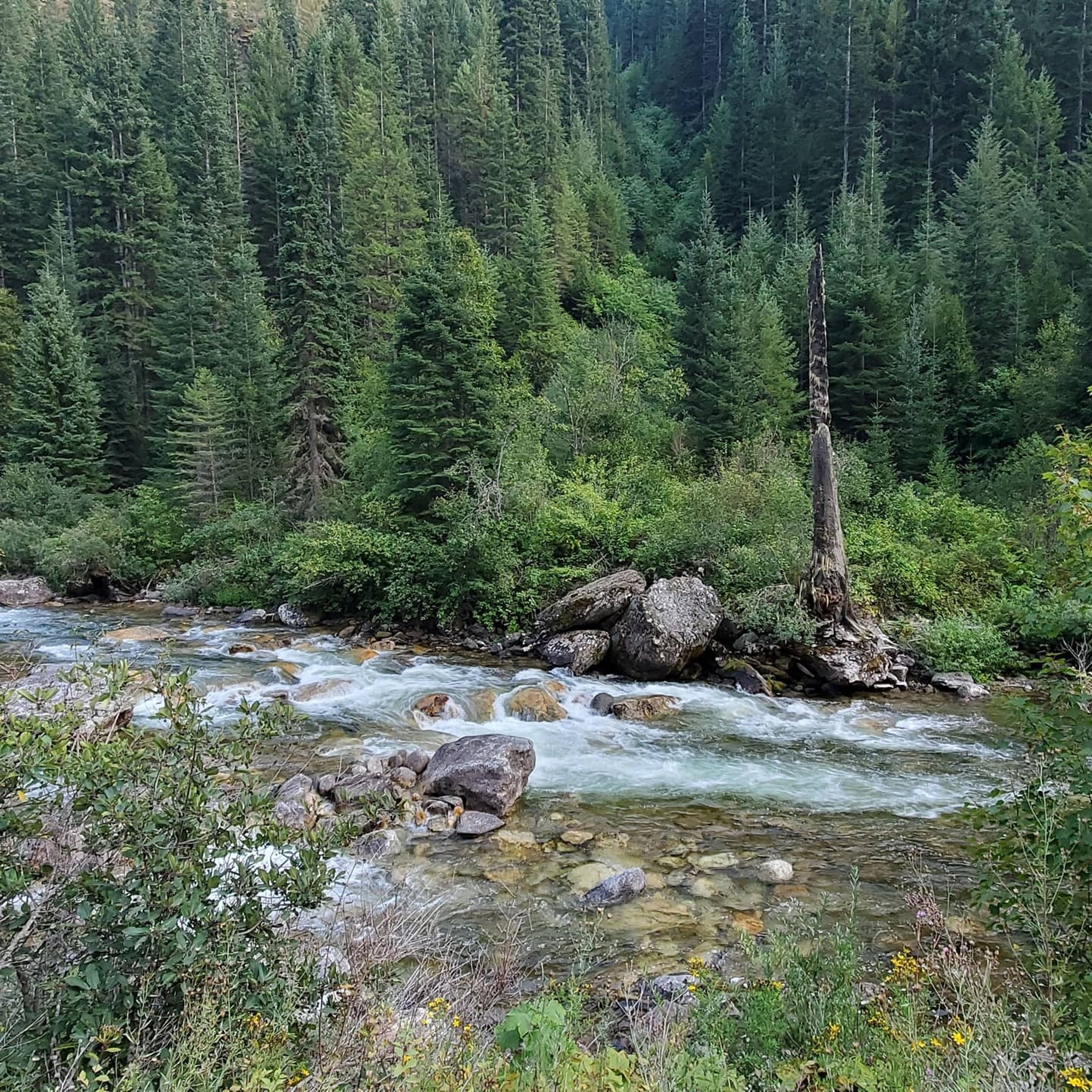 Worries of public land selloff return