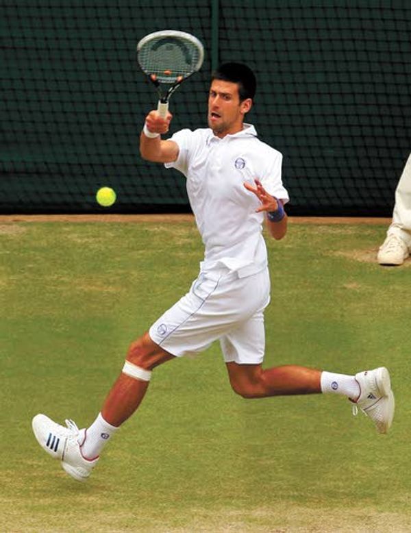 Feeling 'like an animal,' Djokovic overtakes Nadal