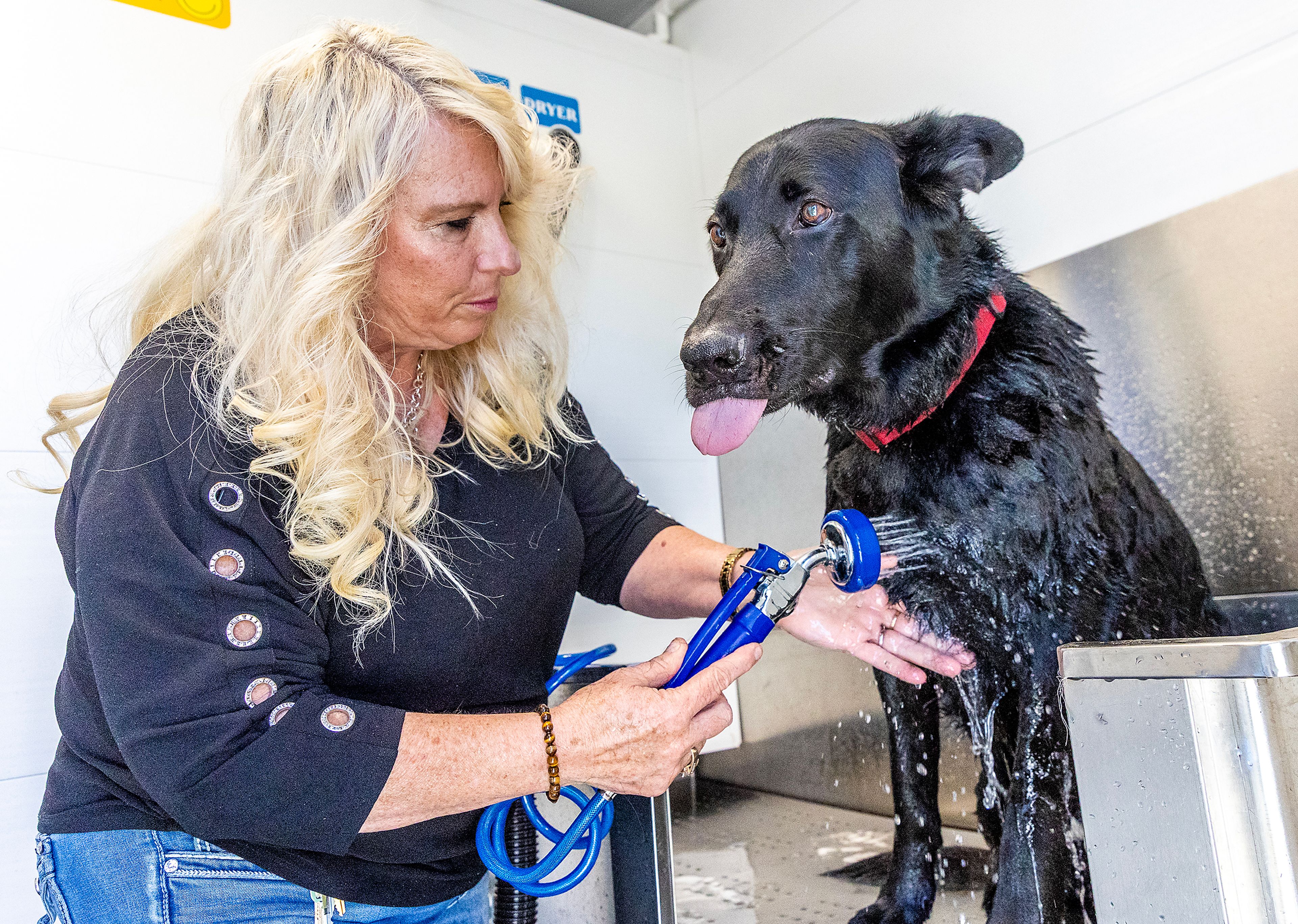 Pooch wash station opens in Lewiston