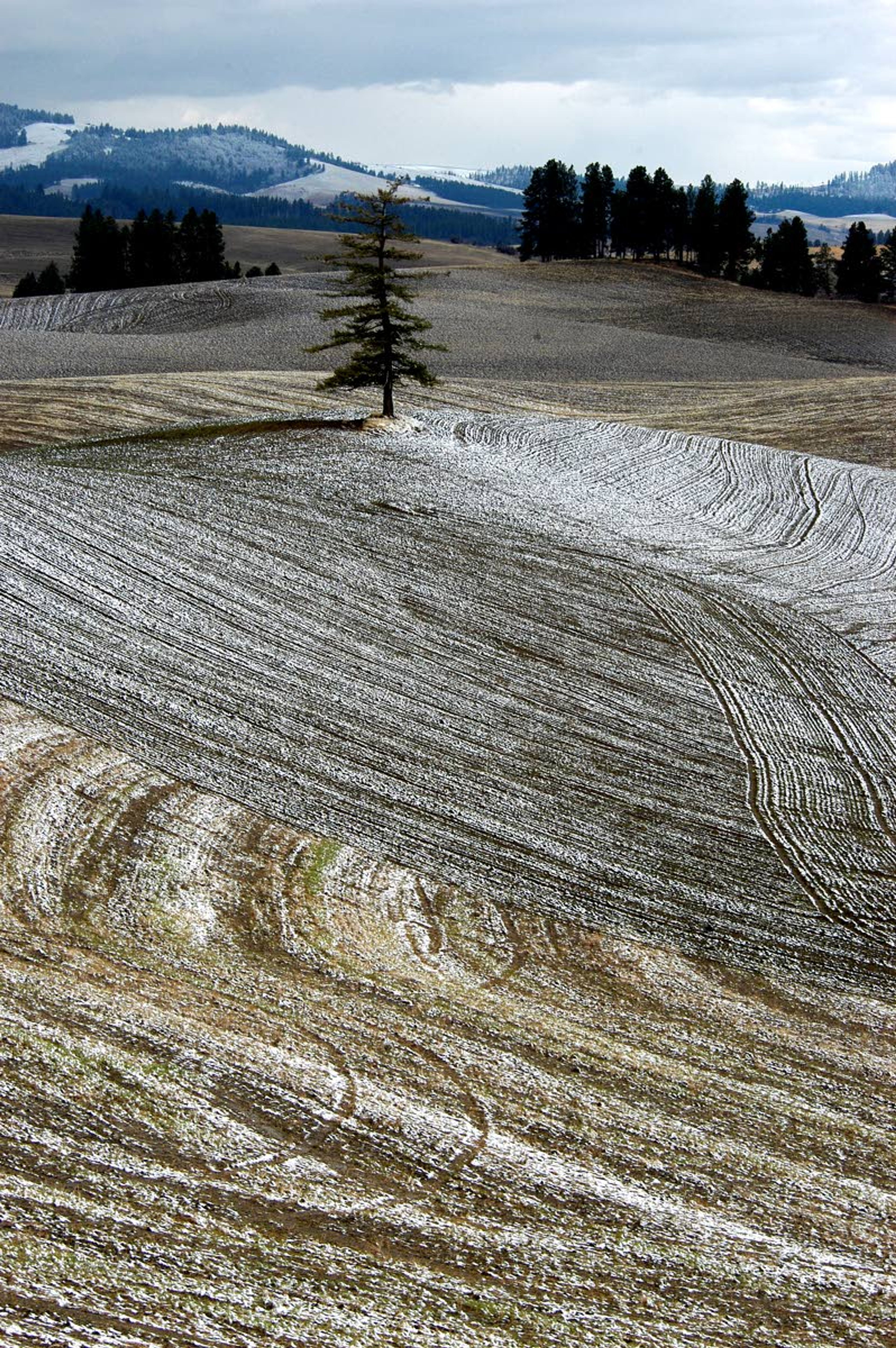 Recent snowfall helped, but climate experts say there is still concern about dry conditions heading into the spring. Typical rainfall in the spring would help bring conditions closer to normal for area farmers.