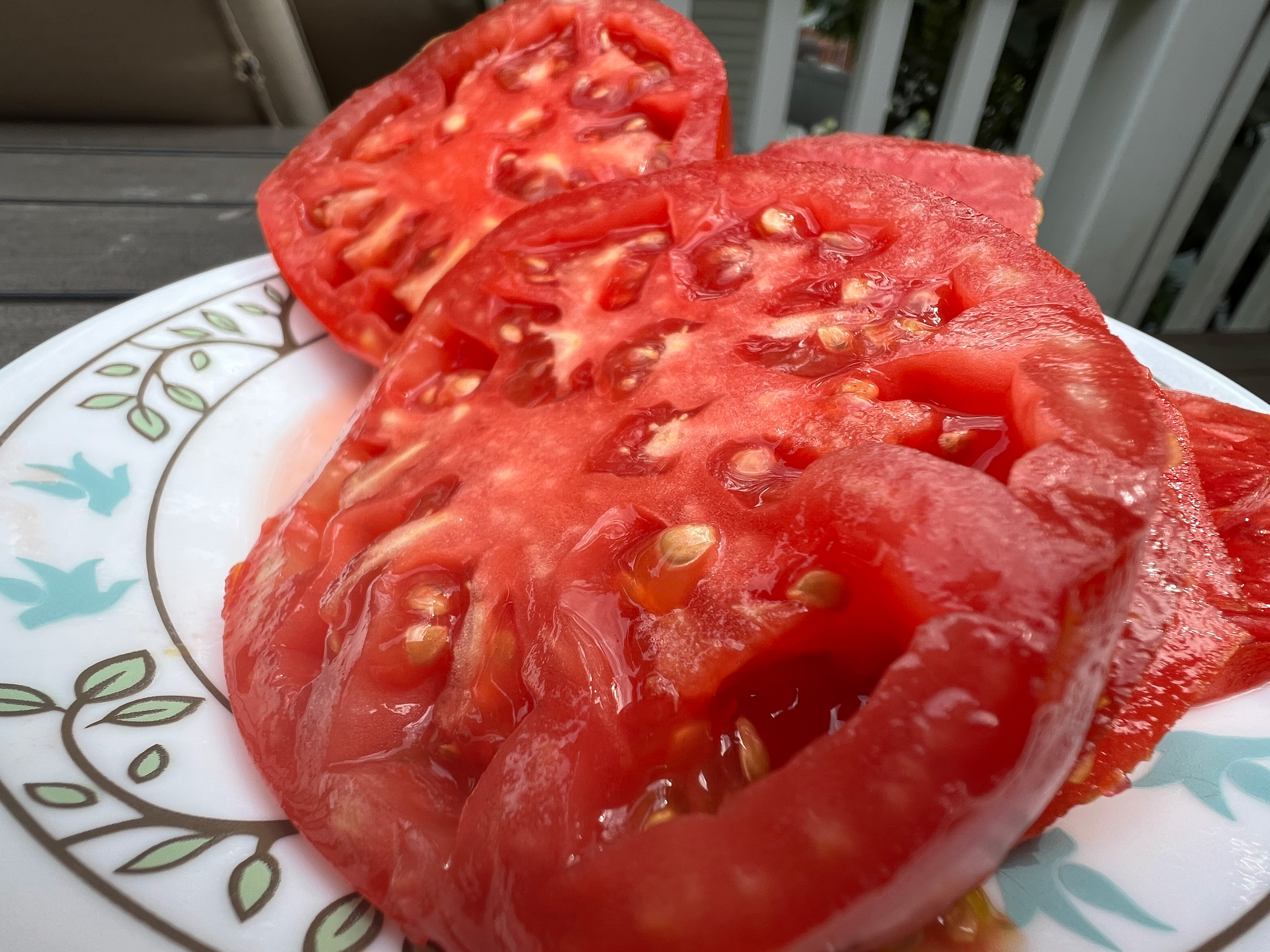 Five tomato superstars for the garden
