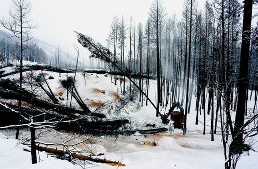 Forest Service turns to the BAER