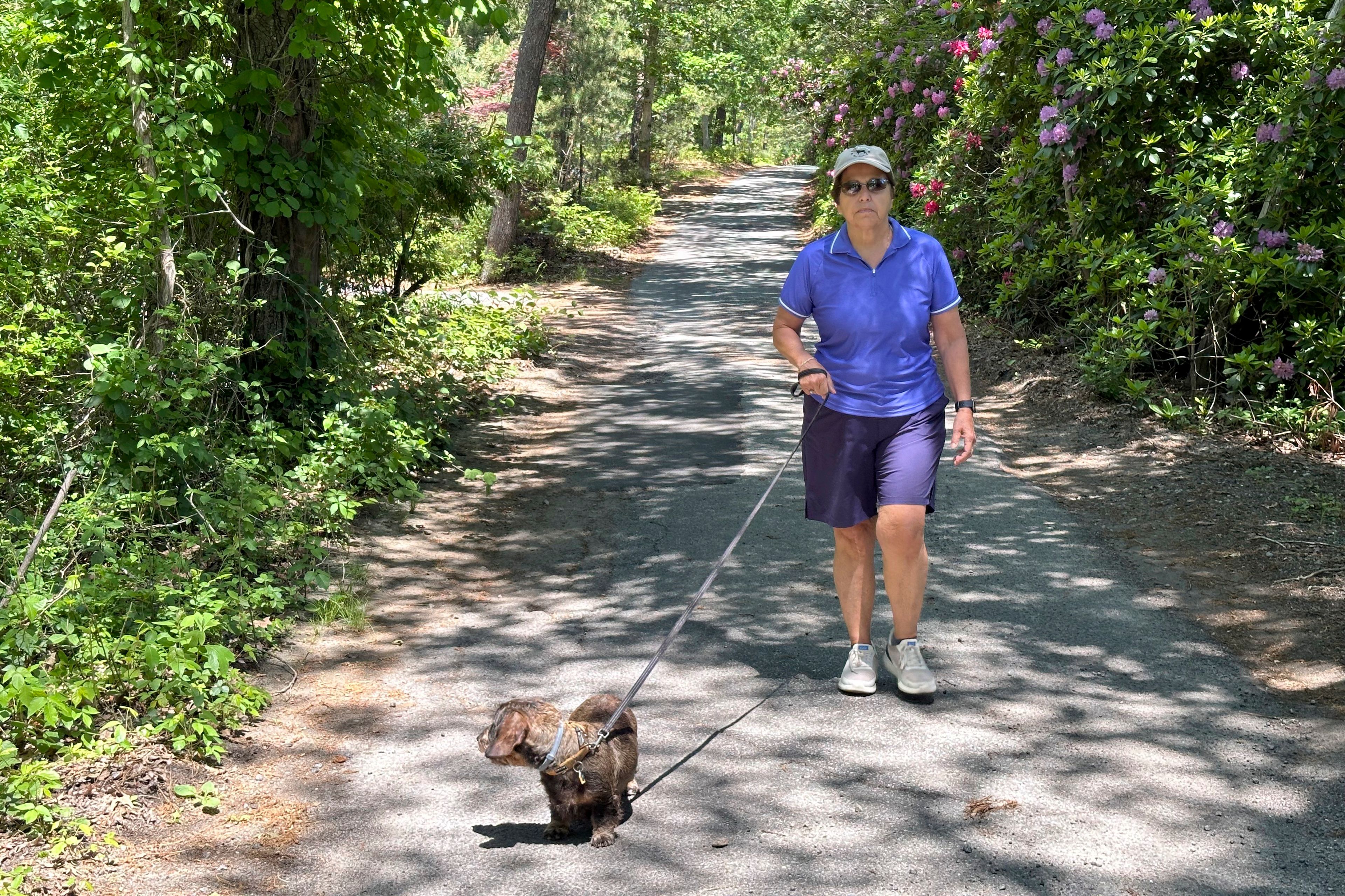 Sally Rizzo, a medical marijuana user, walks her dog Ginger on June 3, 2024, in Vineyard Haven, Massachusetts. Unless something changes, Martha's Vineyard is about to run out of pot, affecting more than 230 registered medical users and thousands more recreational ones.