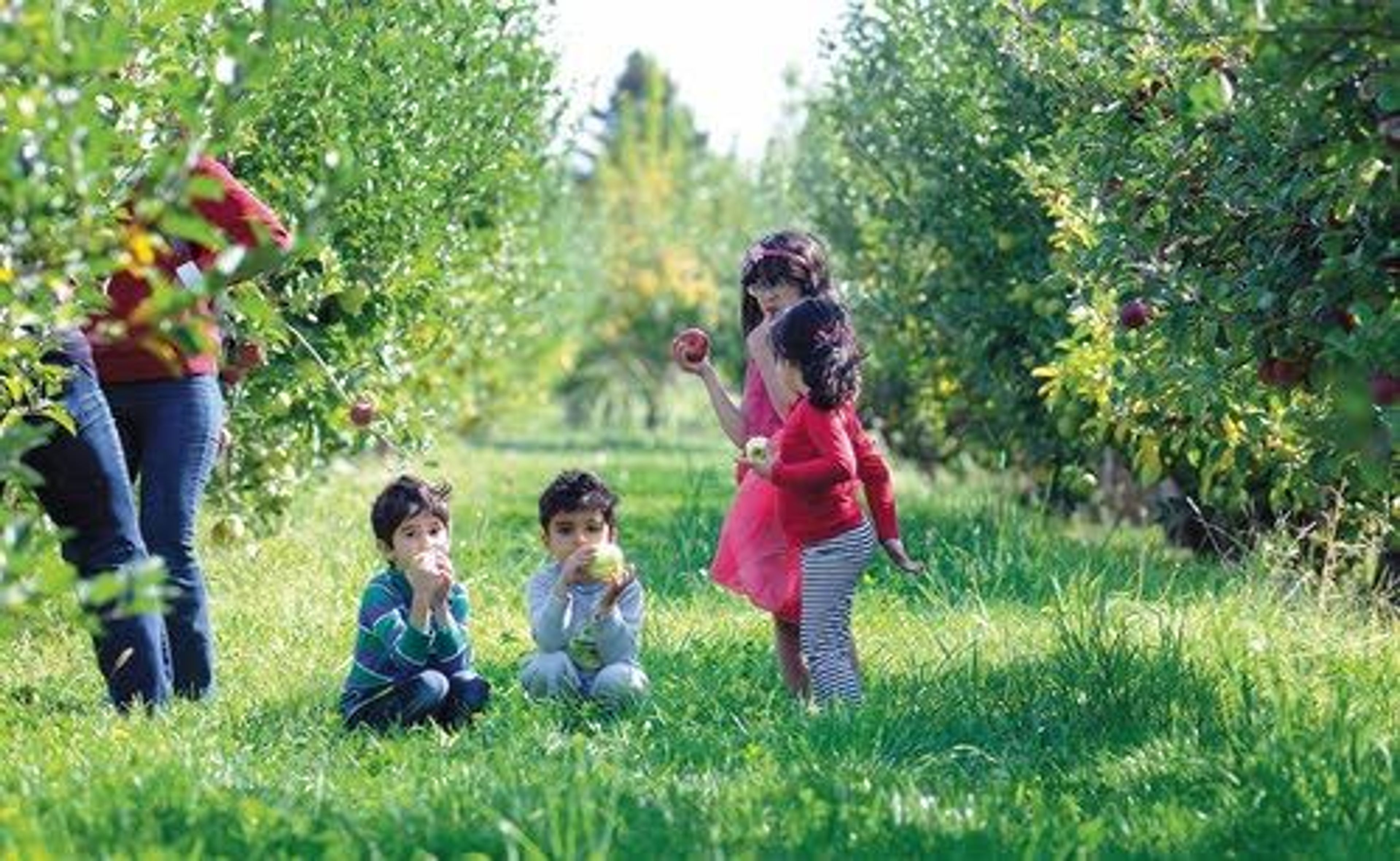 A group of children enjoy an apple from Washington State Unviversity’s Tukey Orchard Saturday during the season’s first U-pick apple sale in Pullman.