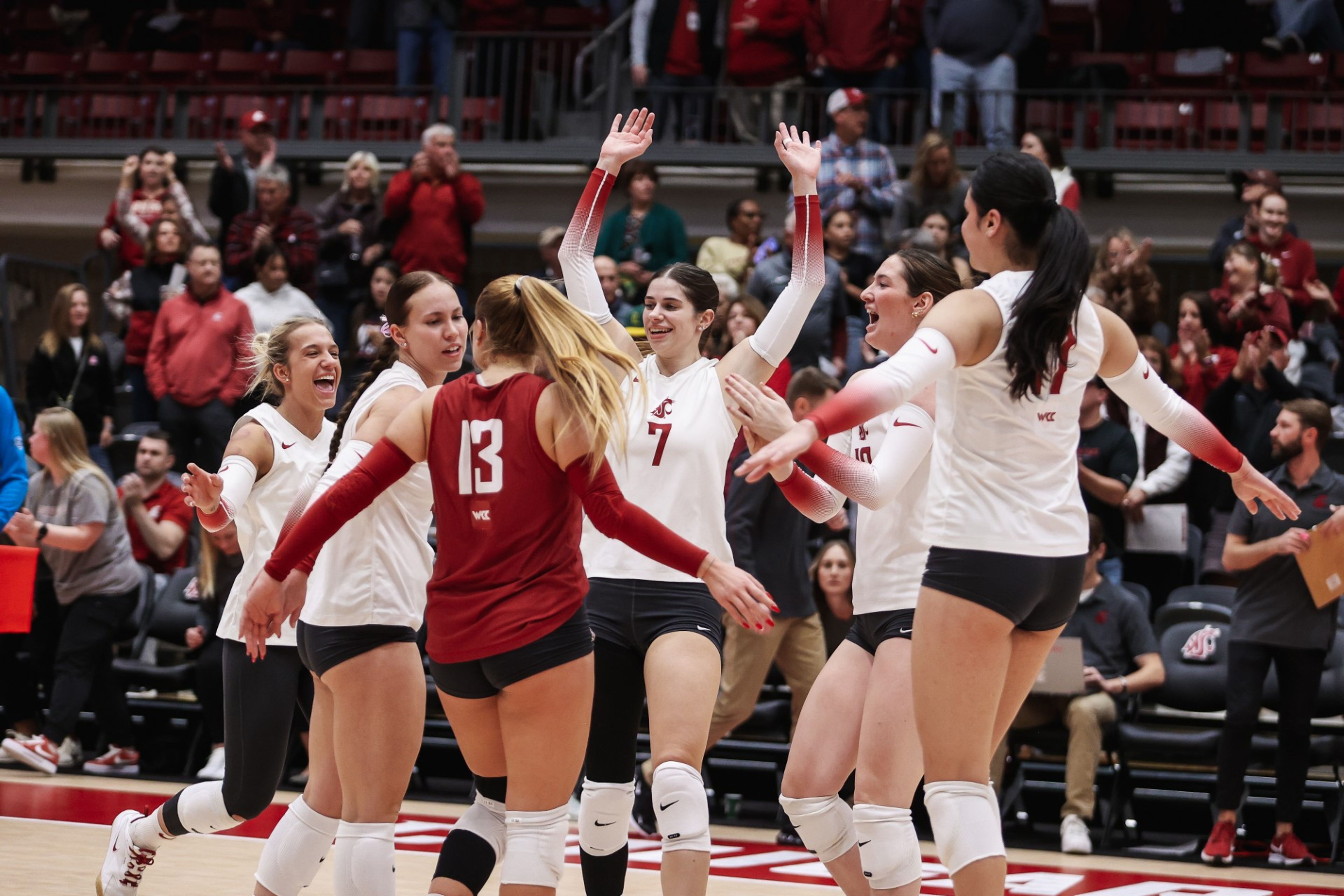 The Washington State Cougars celebrate during a match with Oregon State on Thursday, Oct. 17, 2024, at Bohler Gym in Pullman.