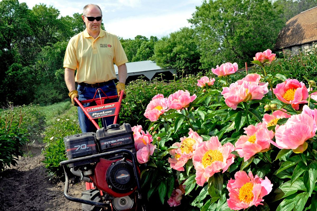 Is it really a quick fix for the garden?