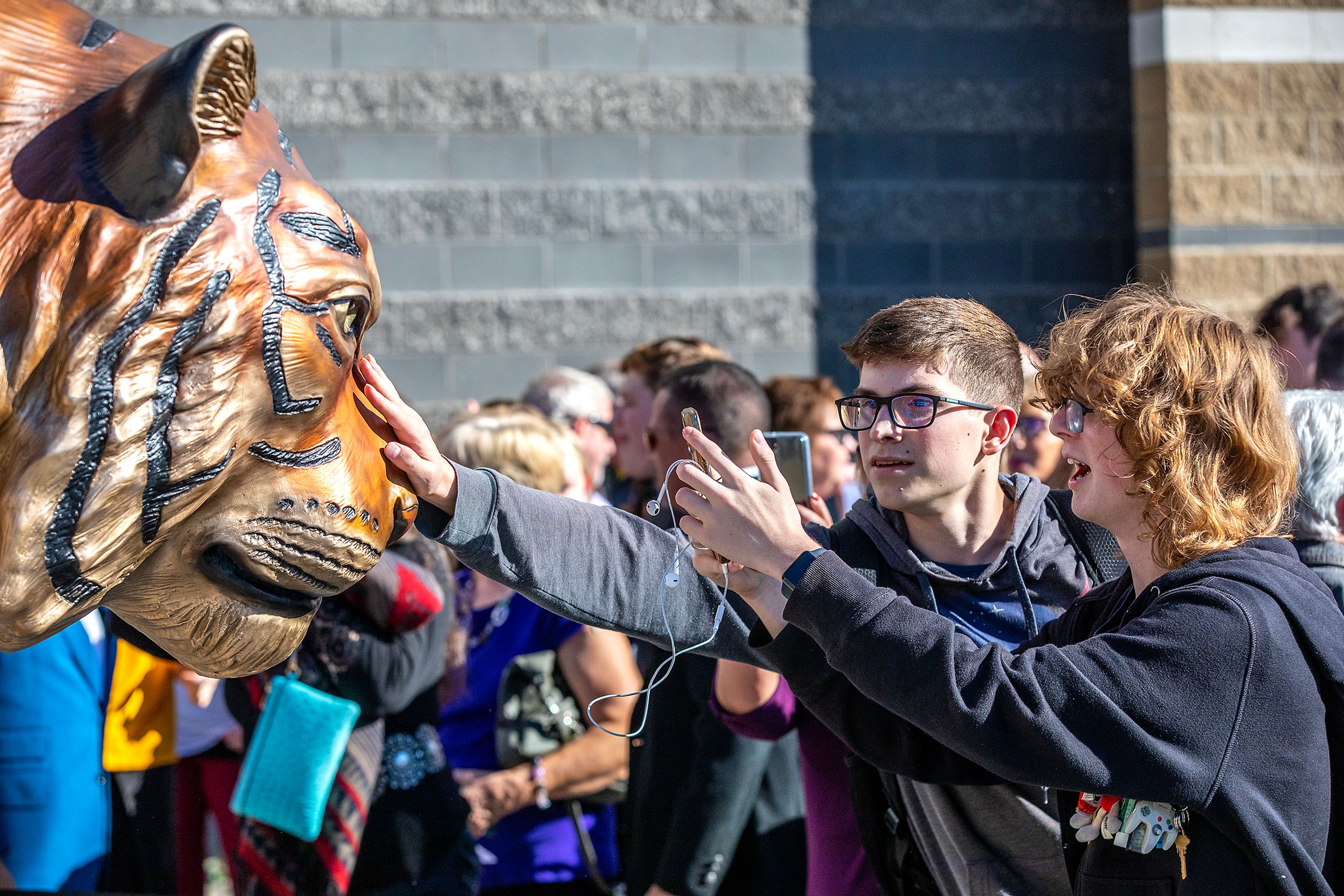 Lewiston High School students get a close look at the bengal statue Thursday in Lewiston.