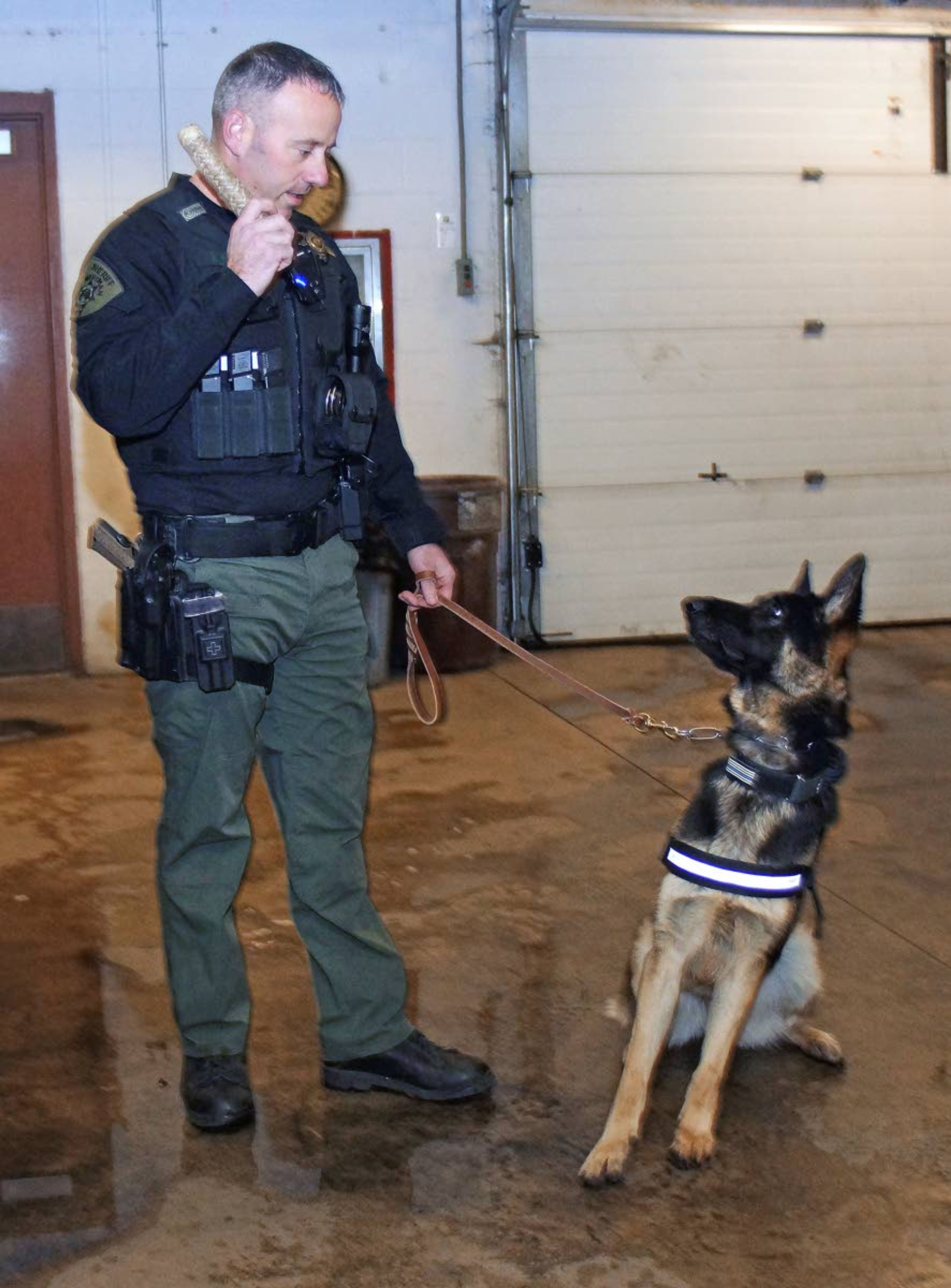 Sgt. Keith Cooper of the Whitman County Sheriff’s Office gets his partner’s attention with her reward toy. Lilly is Cooper’s third canine partner.