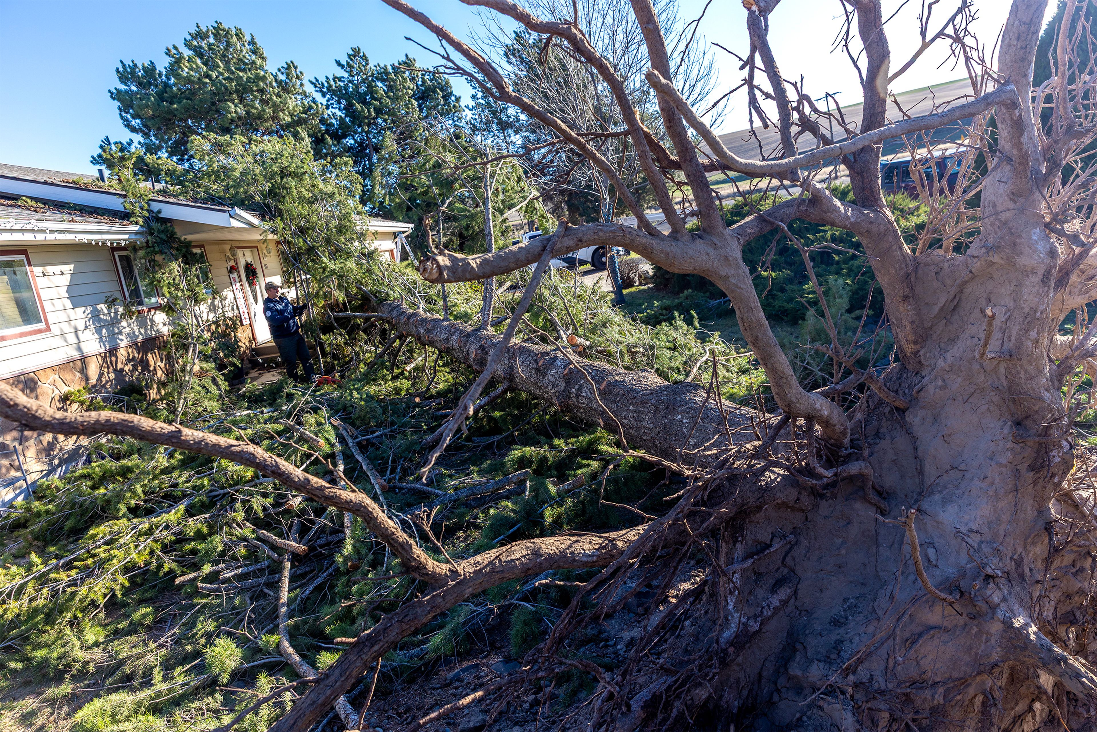 Wind whips through region