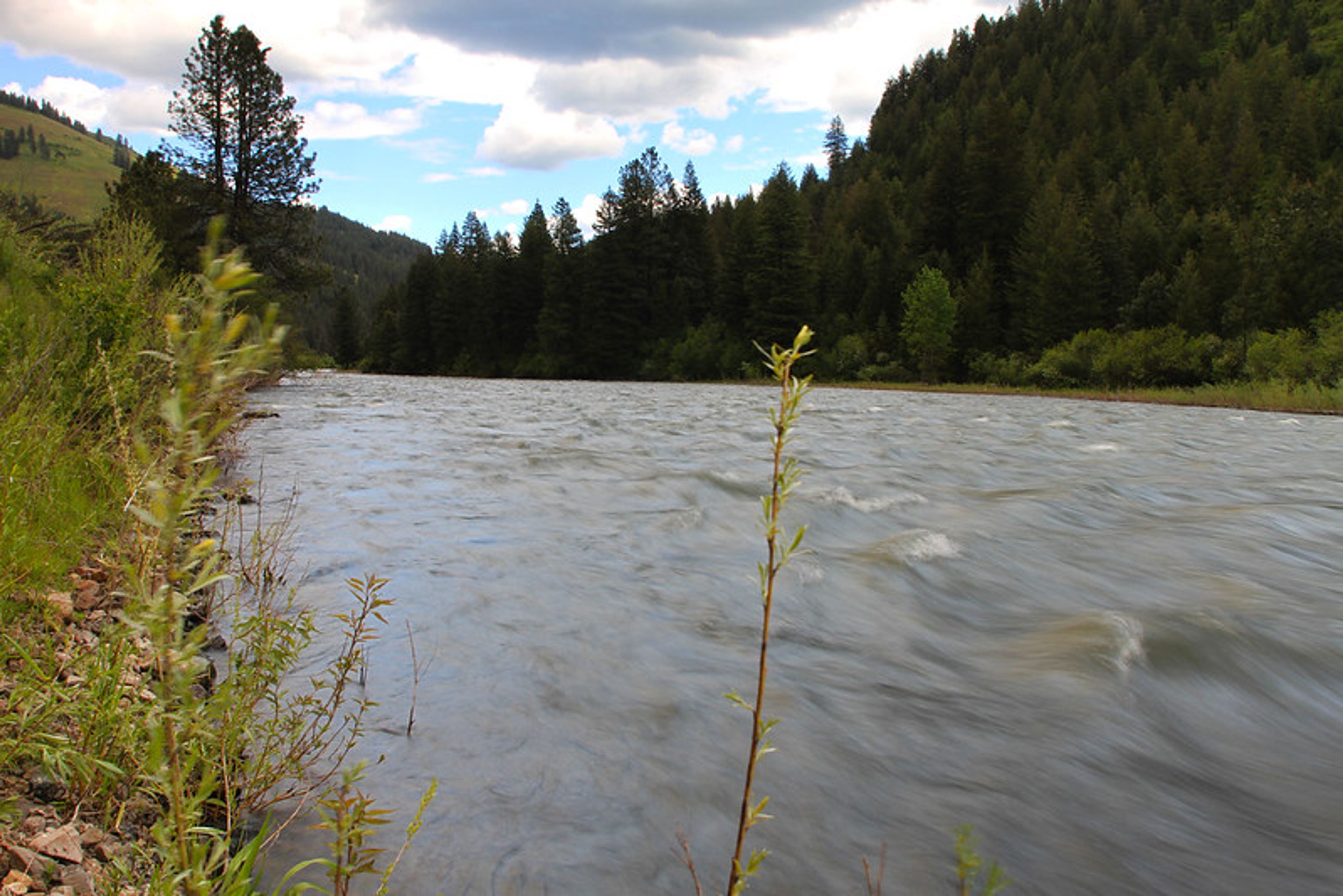 Umatilla tribe would make history with unique tribal-state connection
