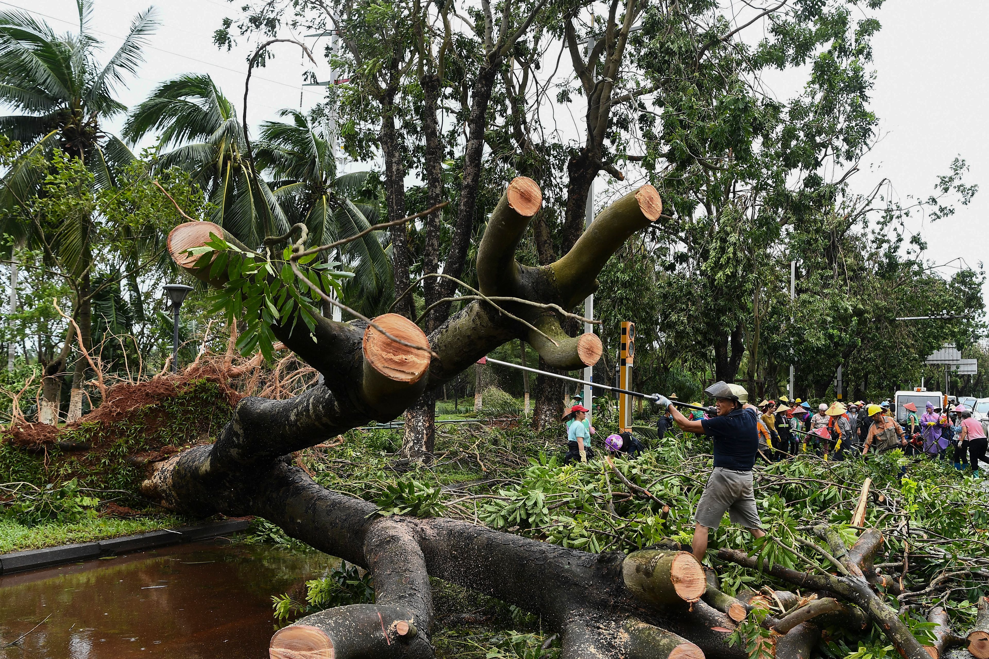 In this photo released by Xinhua News Agency, workers remove fallen tree branches along a street in the aftermath of Typhoon Yagi in Haikou, south China's Hainan Province, Saturday, Sept. 7, 2024.